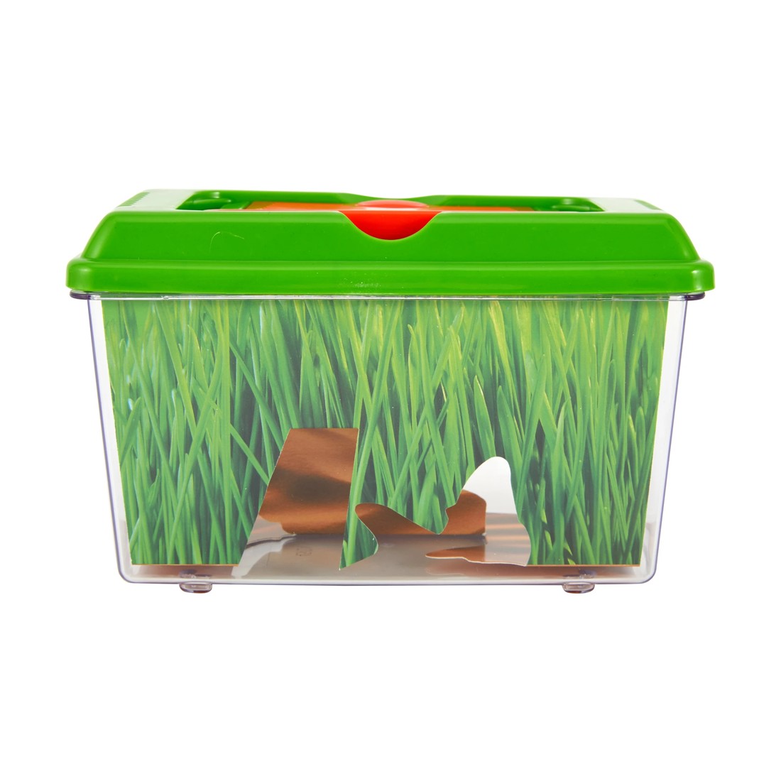 4 Bug Explorer Activity Set, 4 of 10