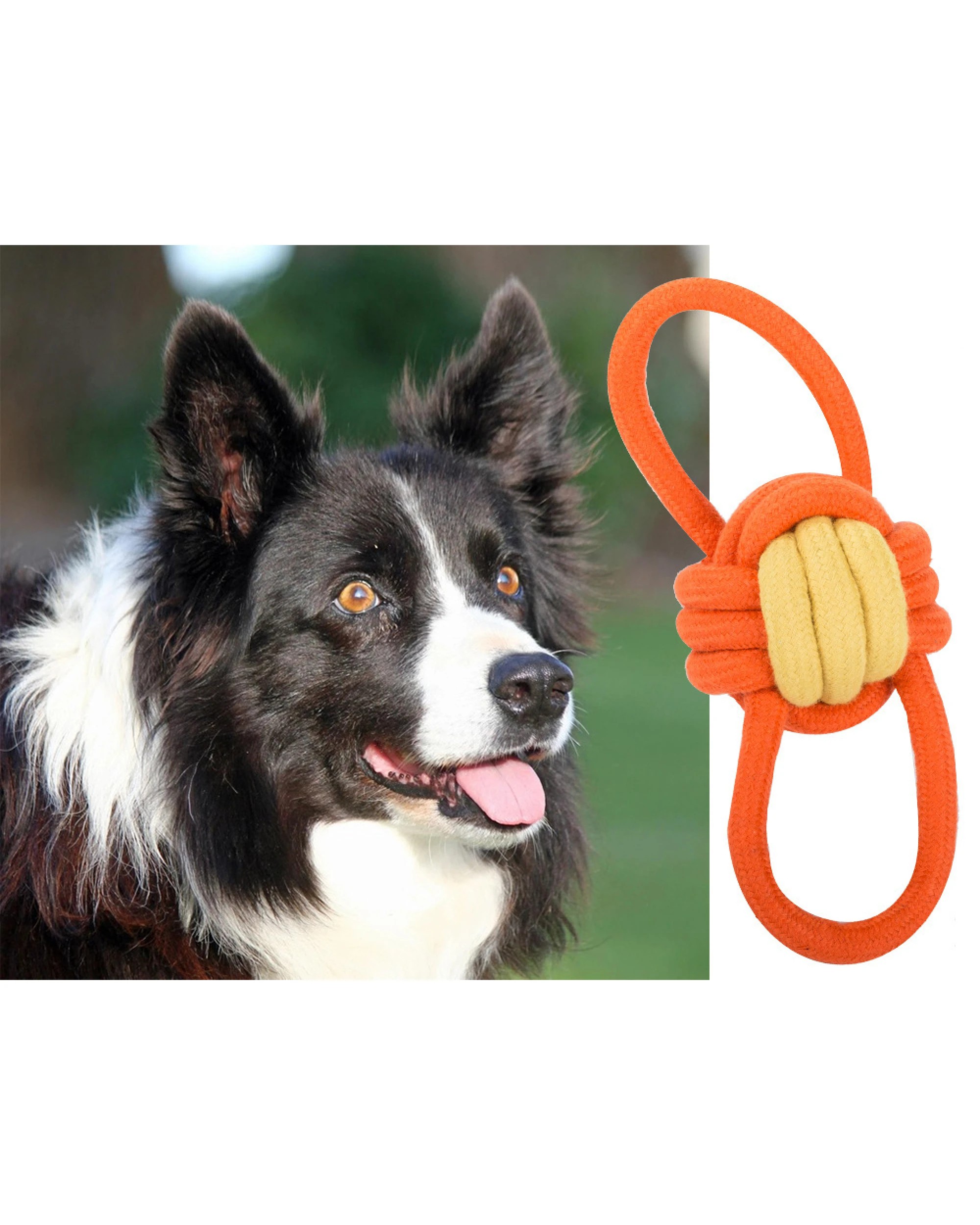 2 BR Pets Heavy Duty Rope Dog Toy for Tug of War and Chewing, 2 of 9