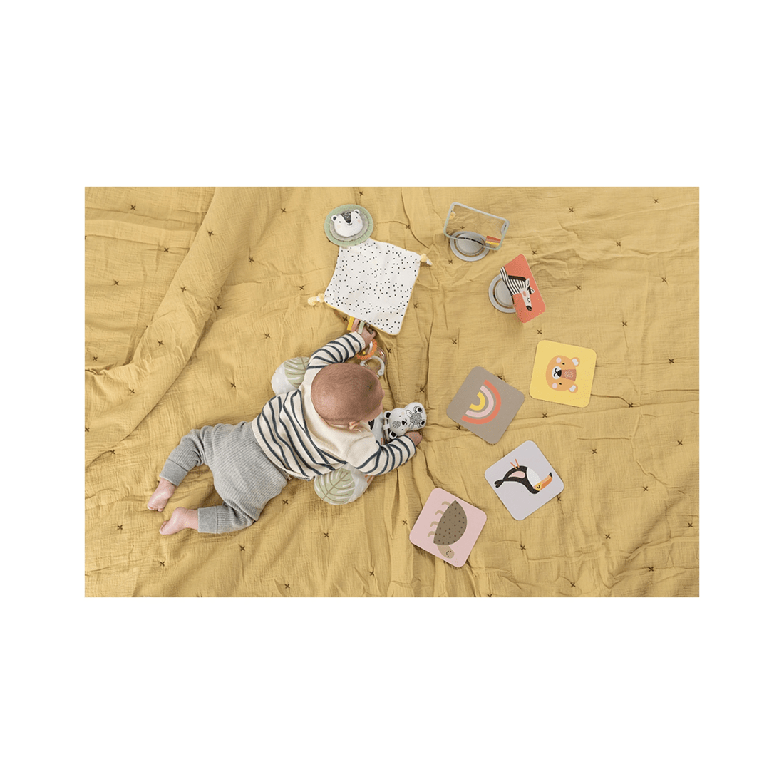 6 Taf Toys Develop And Play Kit Educational Infant Baby Toy 0 Months Plus
 - Multi, 6 of 9