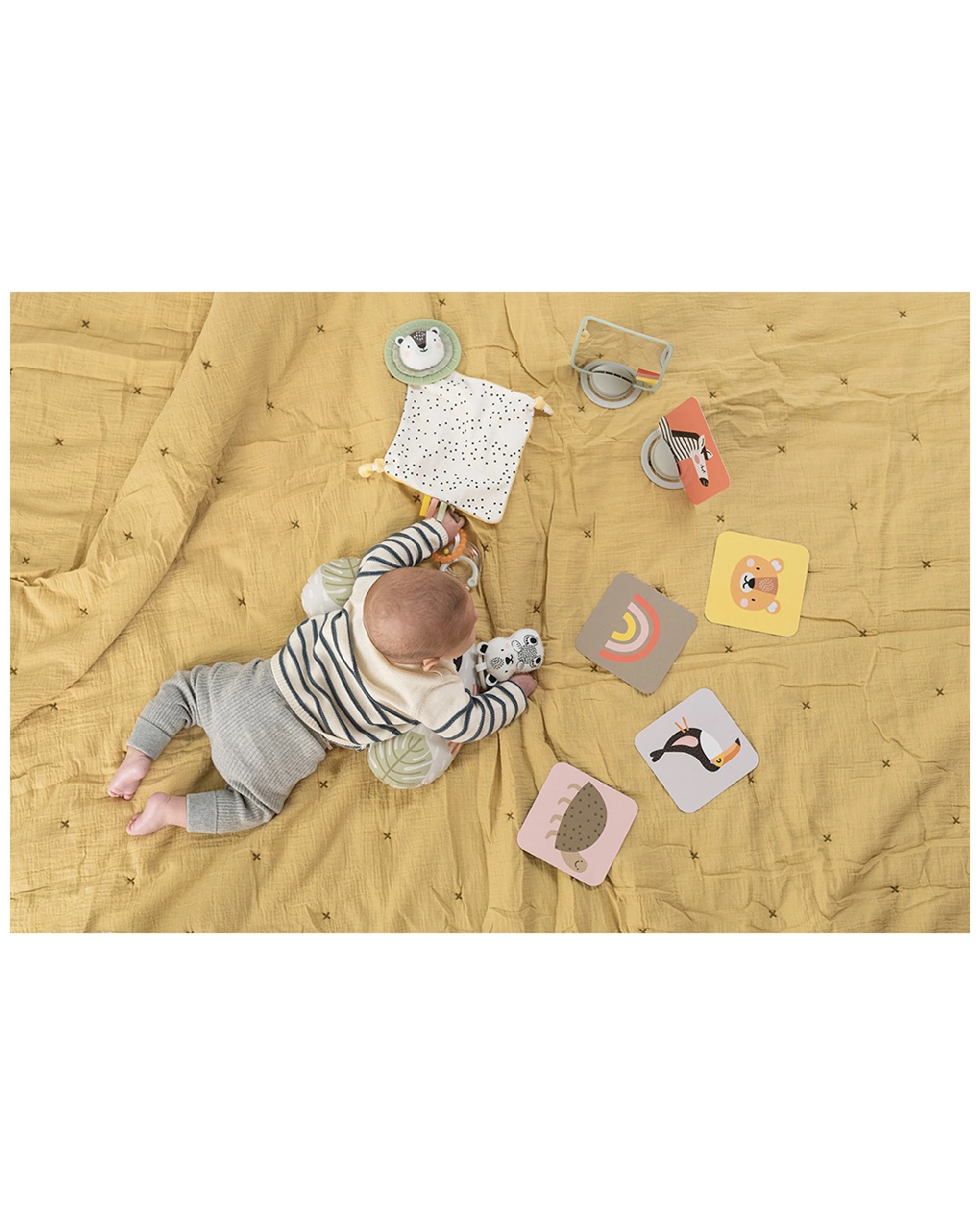 6 Taf Toys Develop And Play Kit Educational Infant Baby Toy 0 Months Plus
 - Multi, 6 of 9