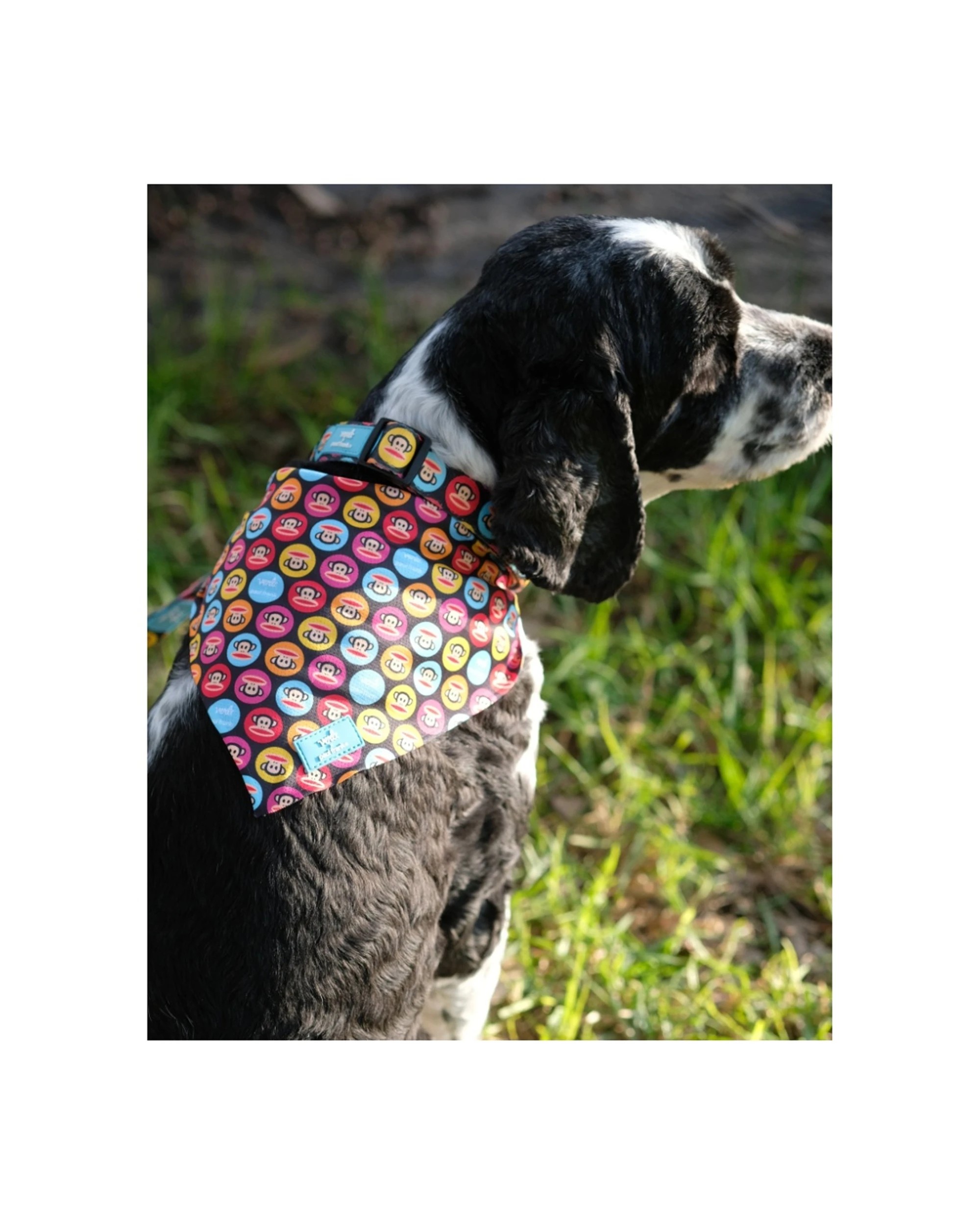 2 Verb. X Paul Frank 100 Percent Polyester Pet Bandana Accessory Small, 2 of 5