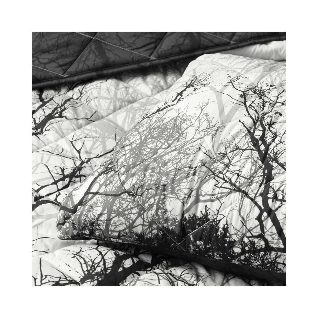 4 Bianca Bedding Boscage Black Quilted Polyester Coverlet Set (Super King, 280 x 235 cm)
 - Super King Bed
 - black, 4 of 5