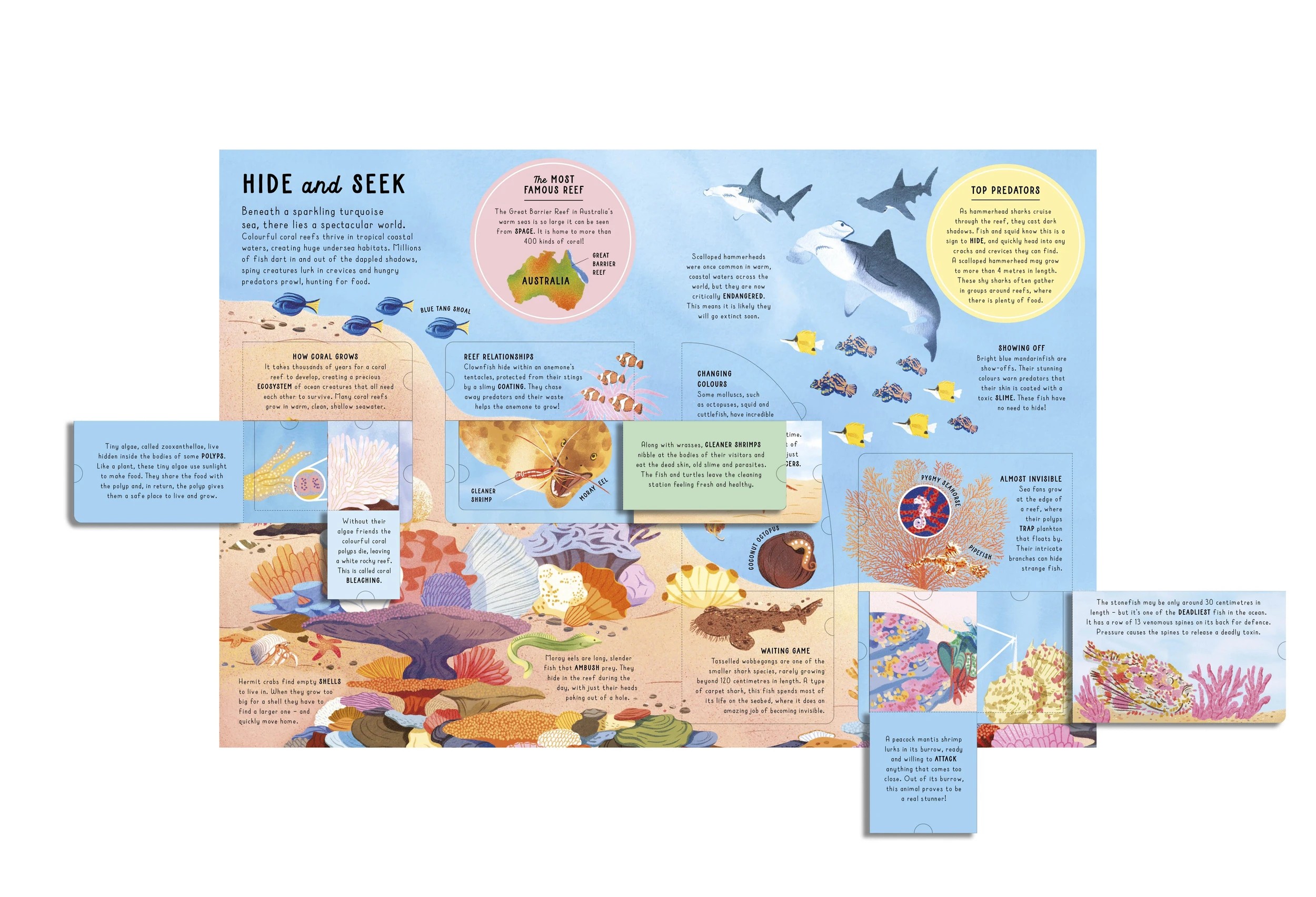 3 Lift-the-Flap Encyclopaedia of Oceans: 200 Flaps to Explore - Book, 3 of 9