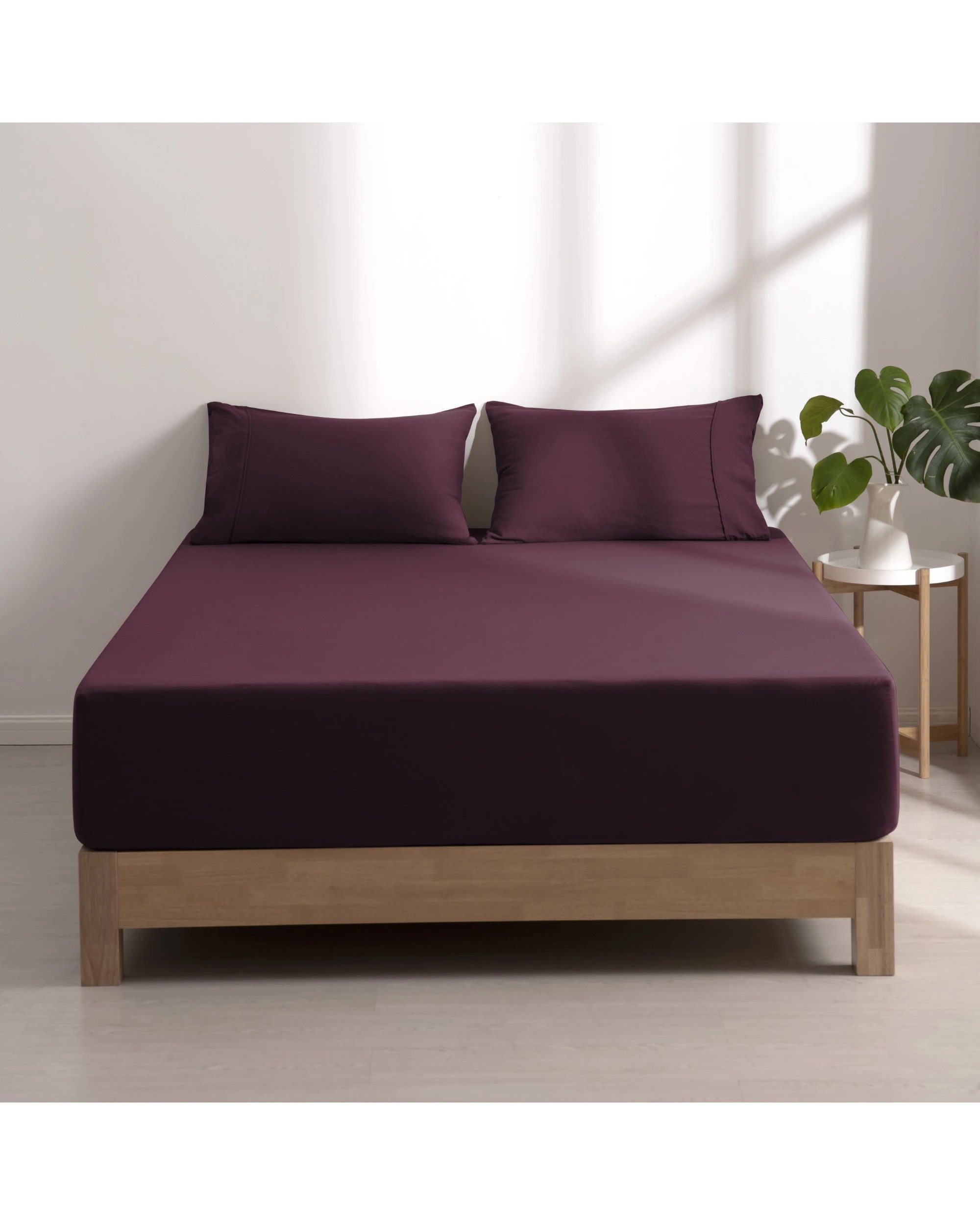 10 Dreamaker Superfine Washed Microfibre Combo Fitted Sheet Set - King Single Bed - Cherry, 10 of 10