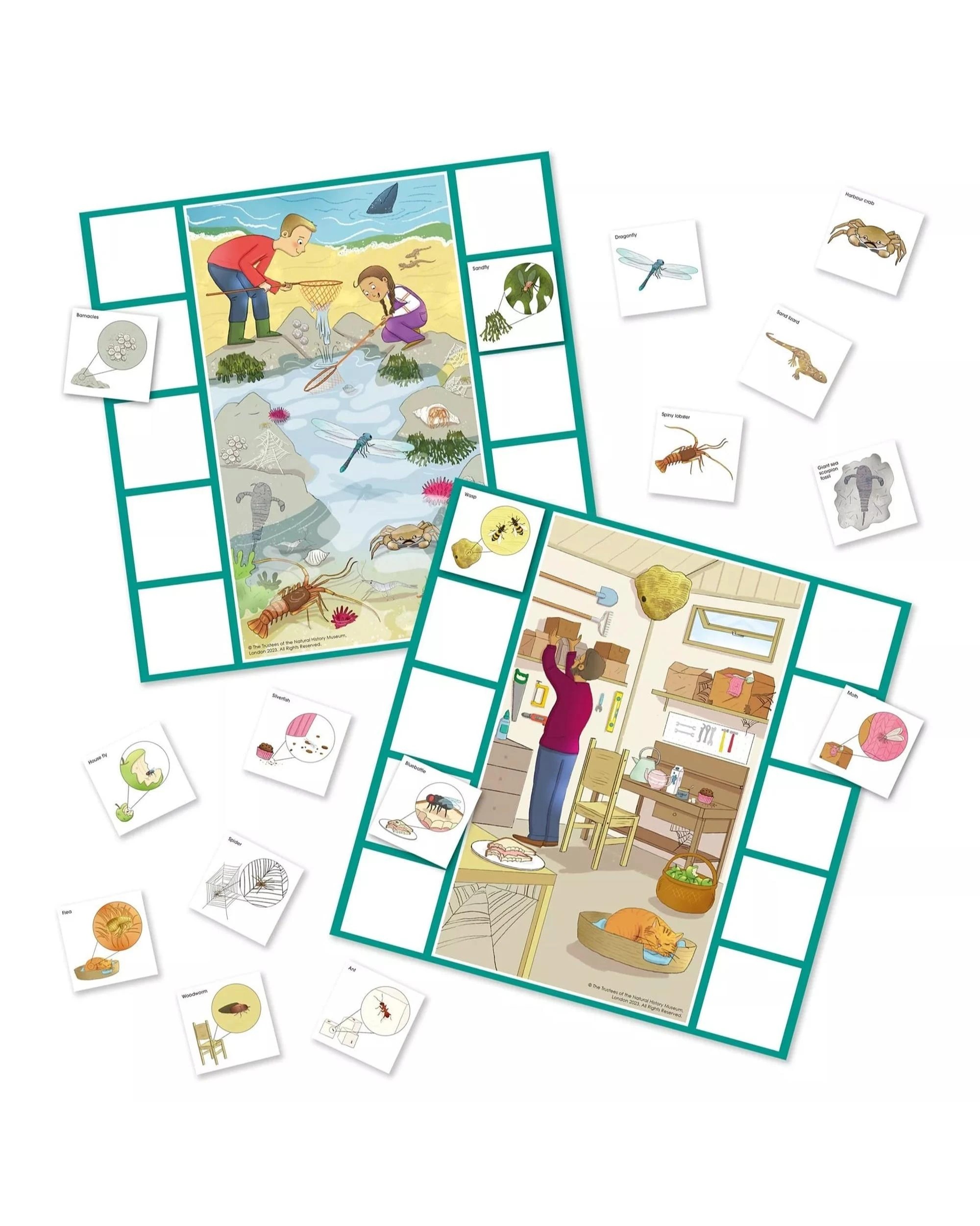 2 Galt Let's Learn Tiny Creatures Activity Kit, 2 of 6
