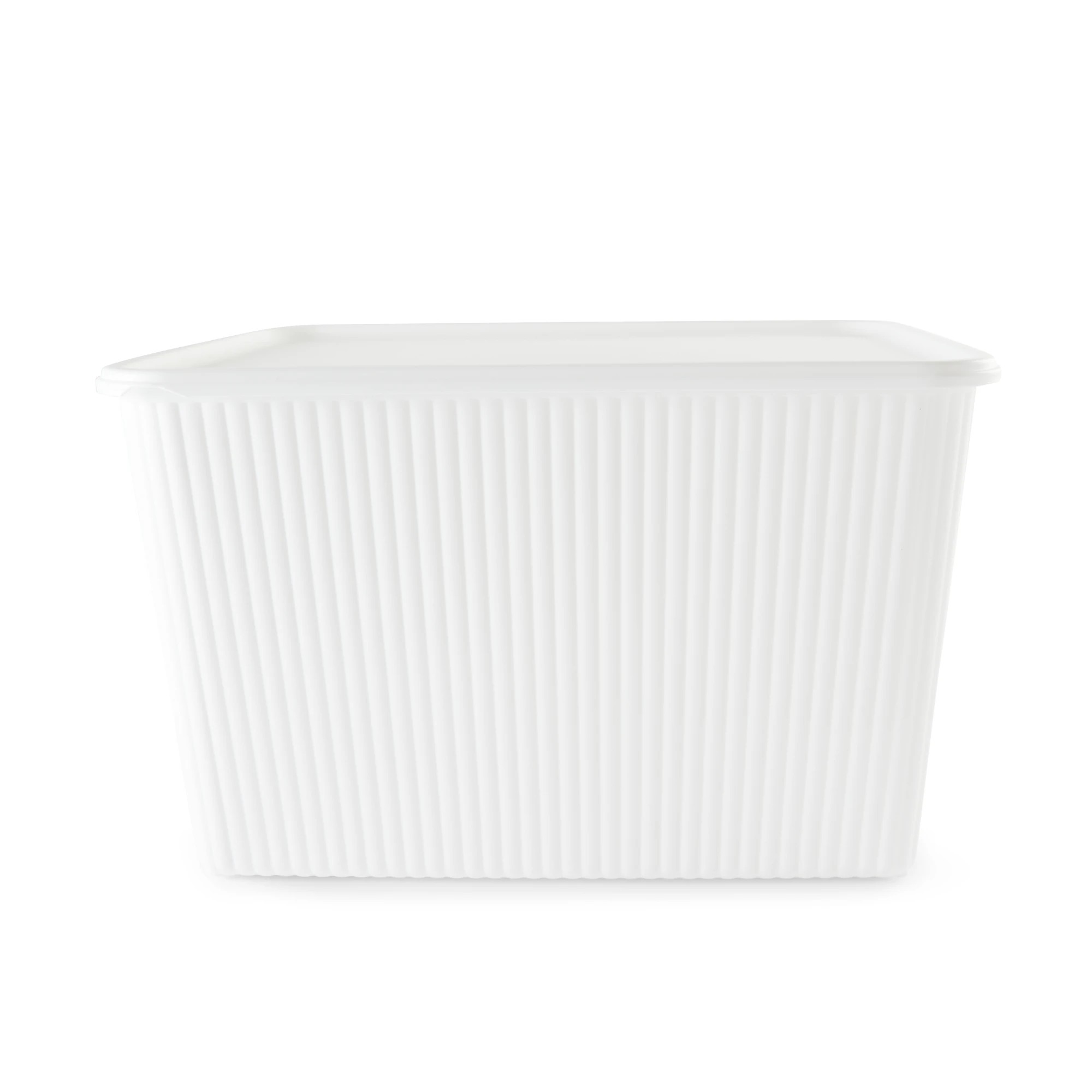 4 18L Ribbed Container - White, 4 of 10