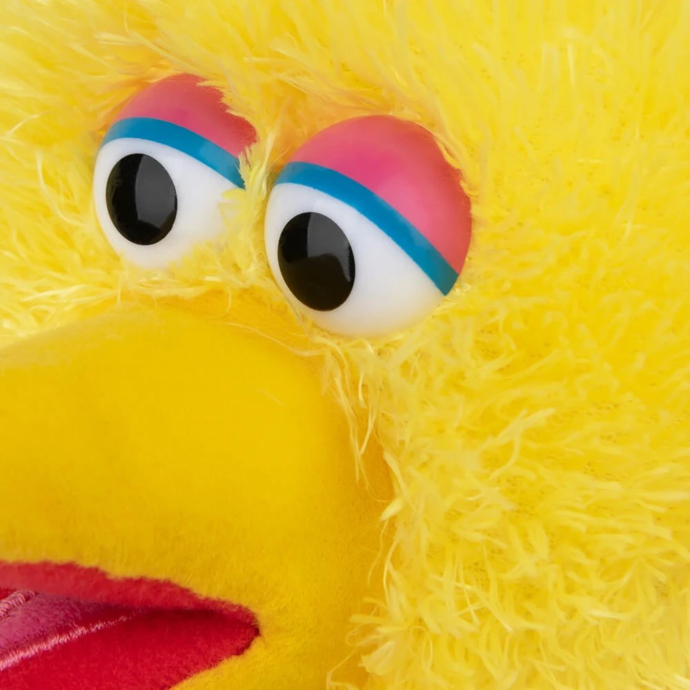 4 Sesame Street Big Bird 30cm Plush, 4 of 4