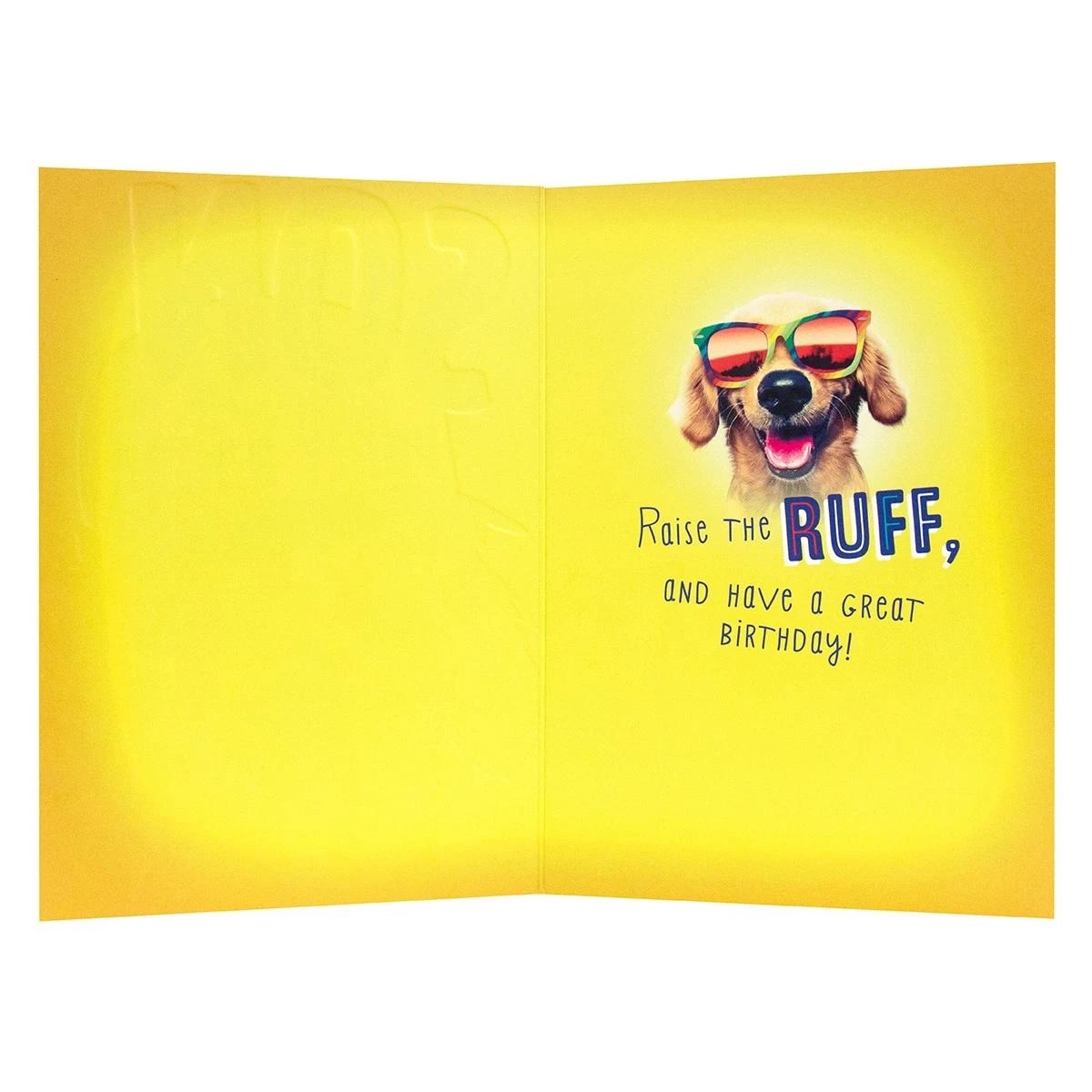 2 Connections from Hallmark Birthday Card for Son - Son You're a Real Party Animal, 2 of 3