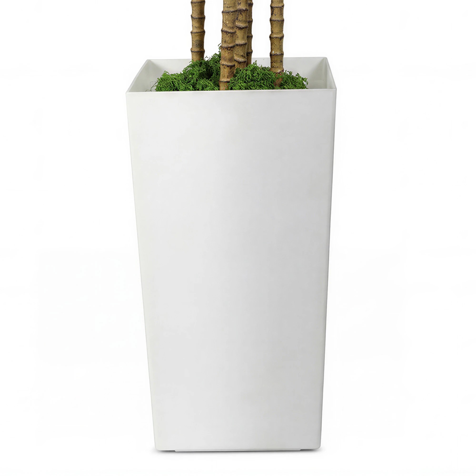 5 Lambu 6Ft Artificial Dracaena Tree With Tall Pot - White, 5 of 9