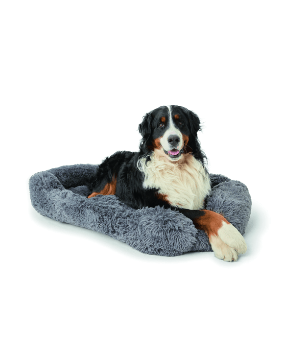Pet Bed Comfort - Extra Large
