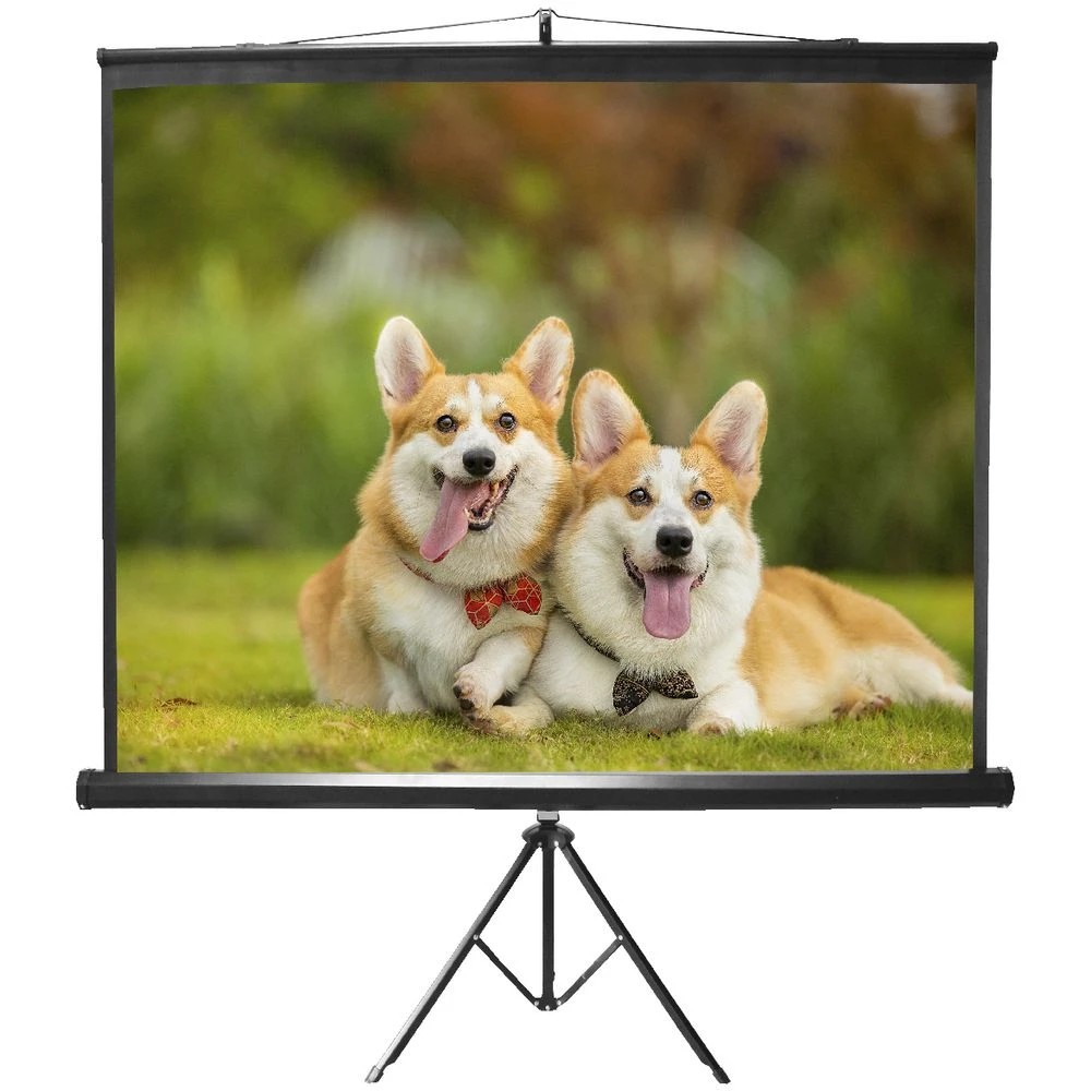 2 Brateck 96" 1:1 Portable Tripod Projection Screen, 2 of 2
