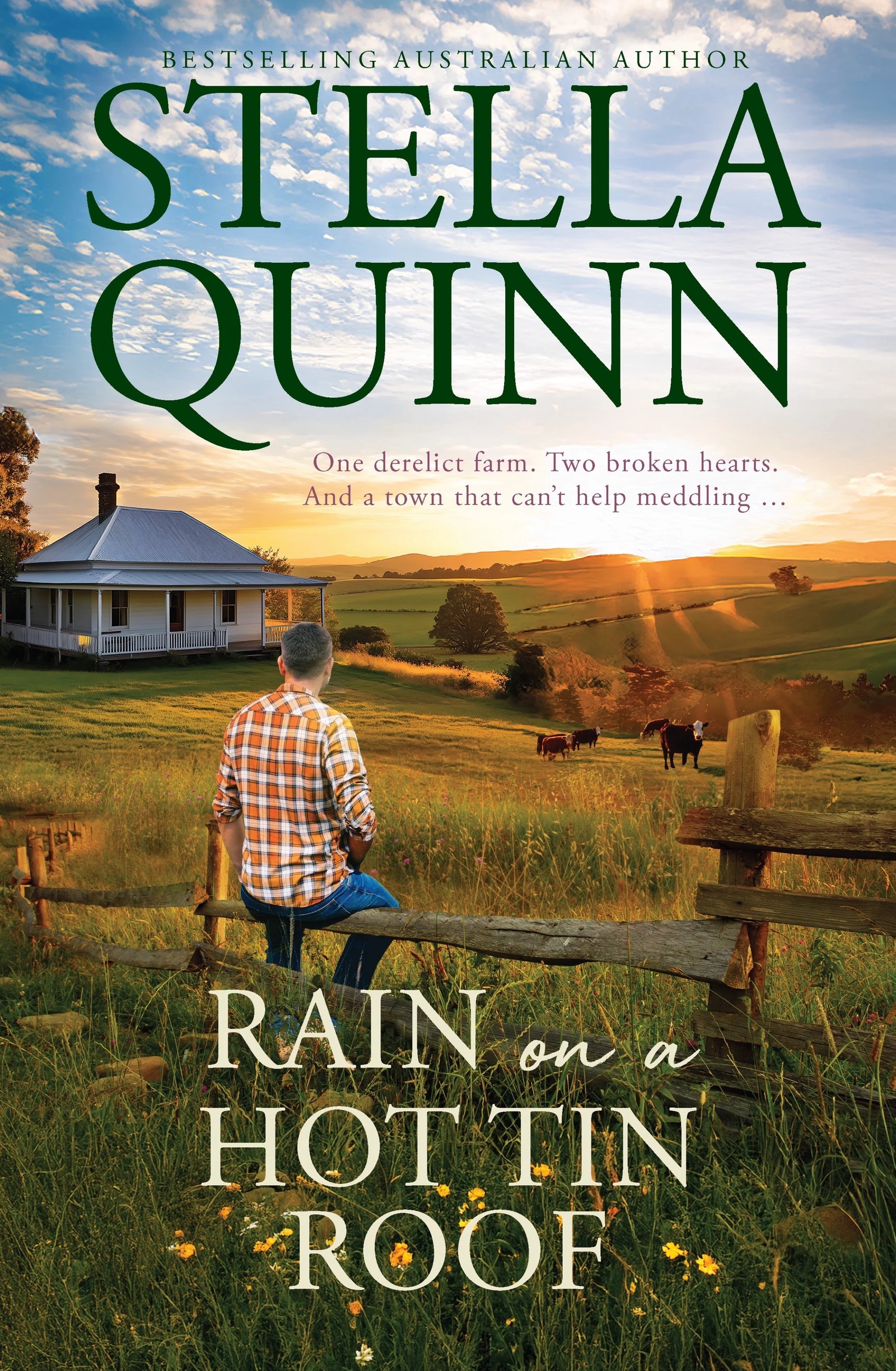 1 Rain On a Hot Tin Roof by Stella Quinn - Book, 1 of 1