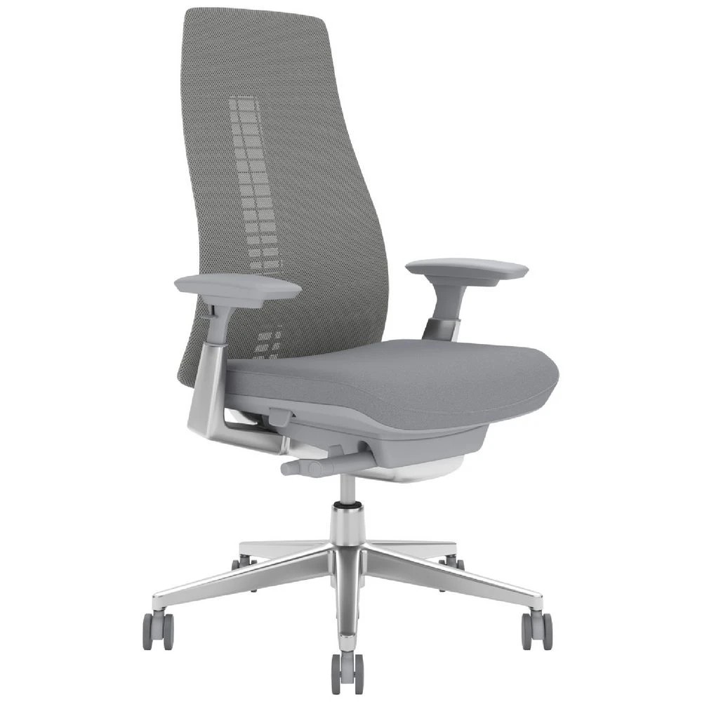 1 Haworth Fern Ergonomic Chair 4D Arms Adjustable Lumbar Grey Ergonomic Chairs and Desk Chairs, 1 of 5