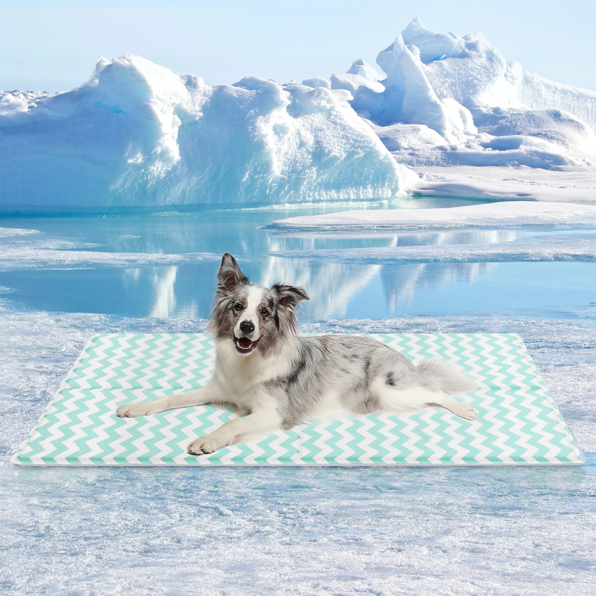 6 Pawz Pet Cooling Mat 120x80cm, 6 of 6