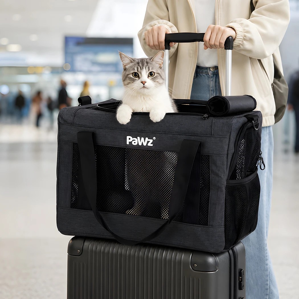 1 Pawz Cat Carrier Airline Under-Seat Pet Carrier 5mm Frame Black Oxford, 1 of 8