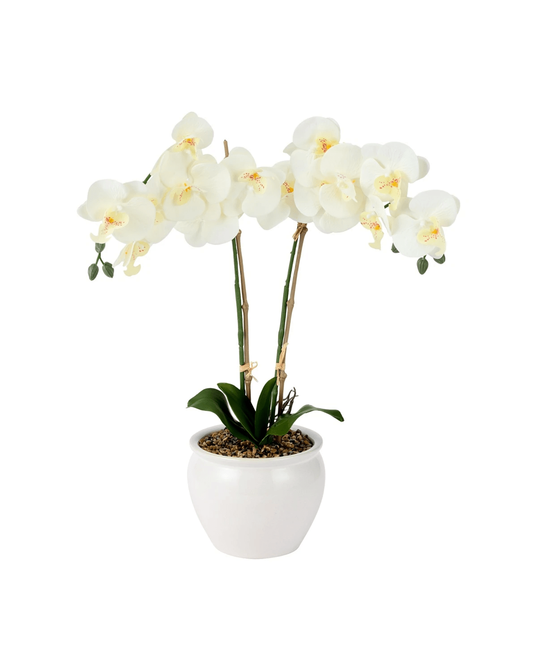 1 Artificial White Orchid in Vase, 1 of 3