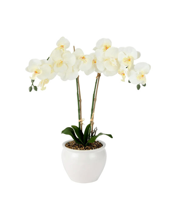 Artificial White Orchid in Vase