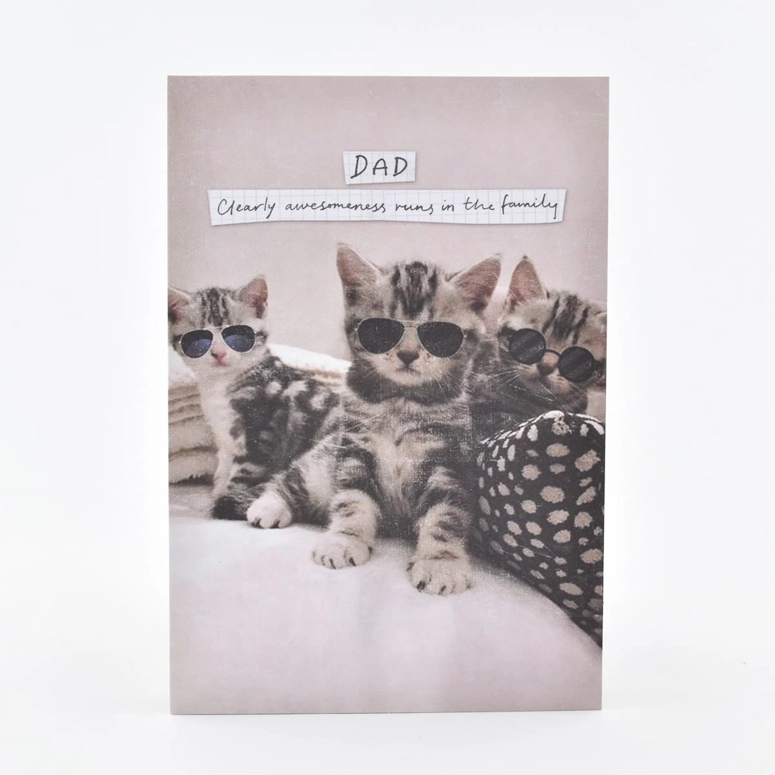 1 Hallmark Birthday Card For Dad - Kittens, 1 of 3