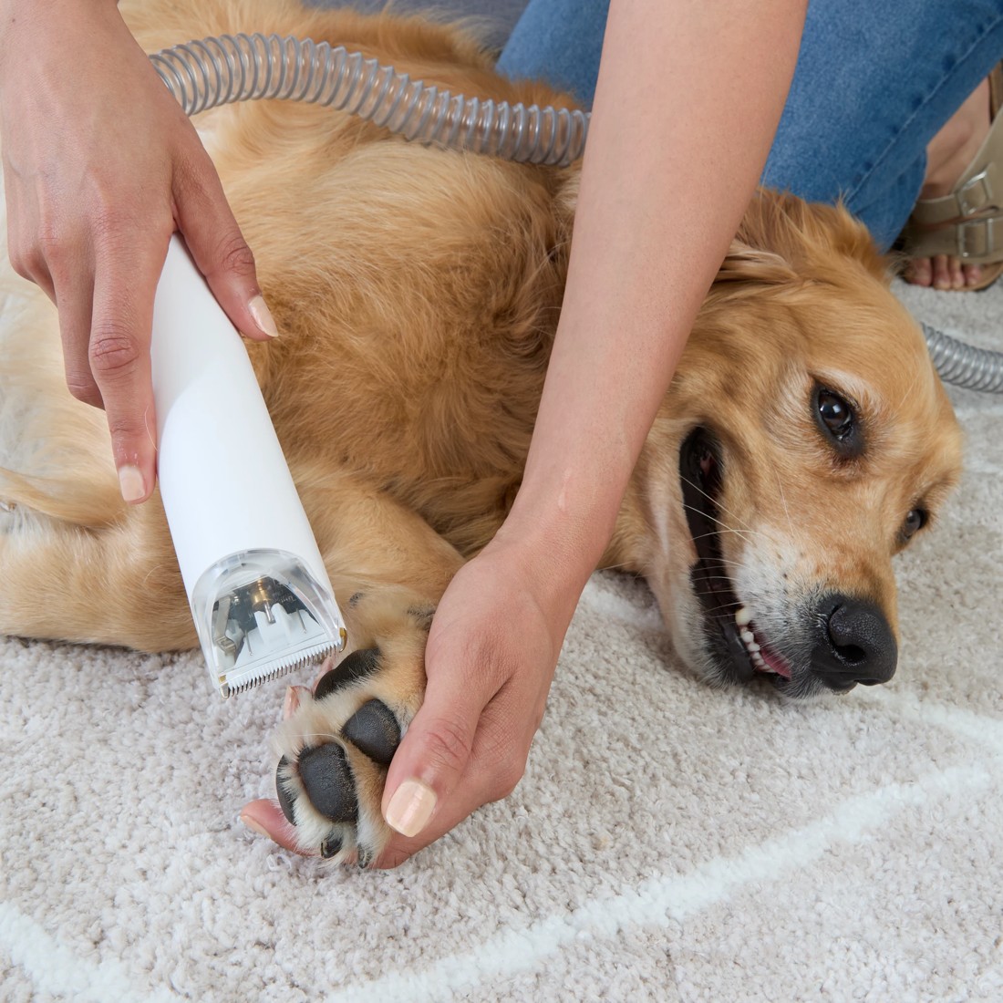 3 Pet Vacuum and Grooming Kit, 3 of 10