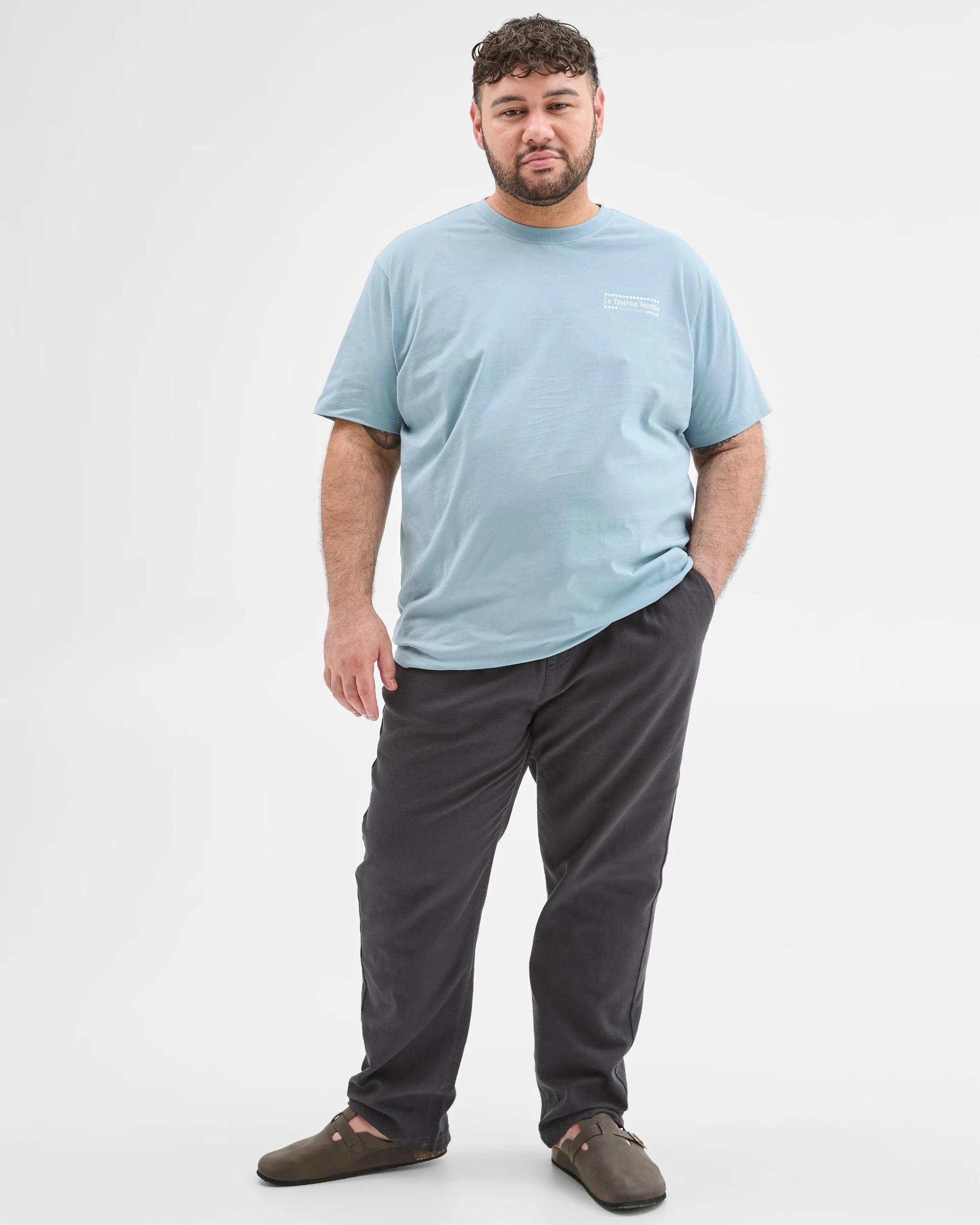 2 Target Man Plus Plus Size Australian Cotton Print T-Shirt DUSTY TEAL, 2 of 5