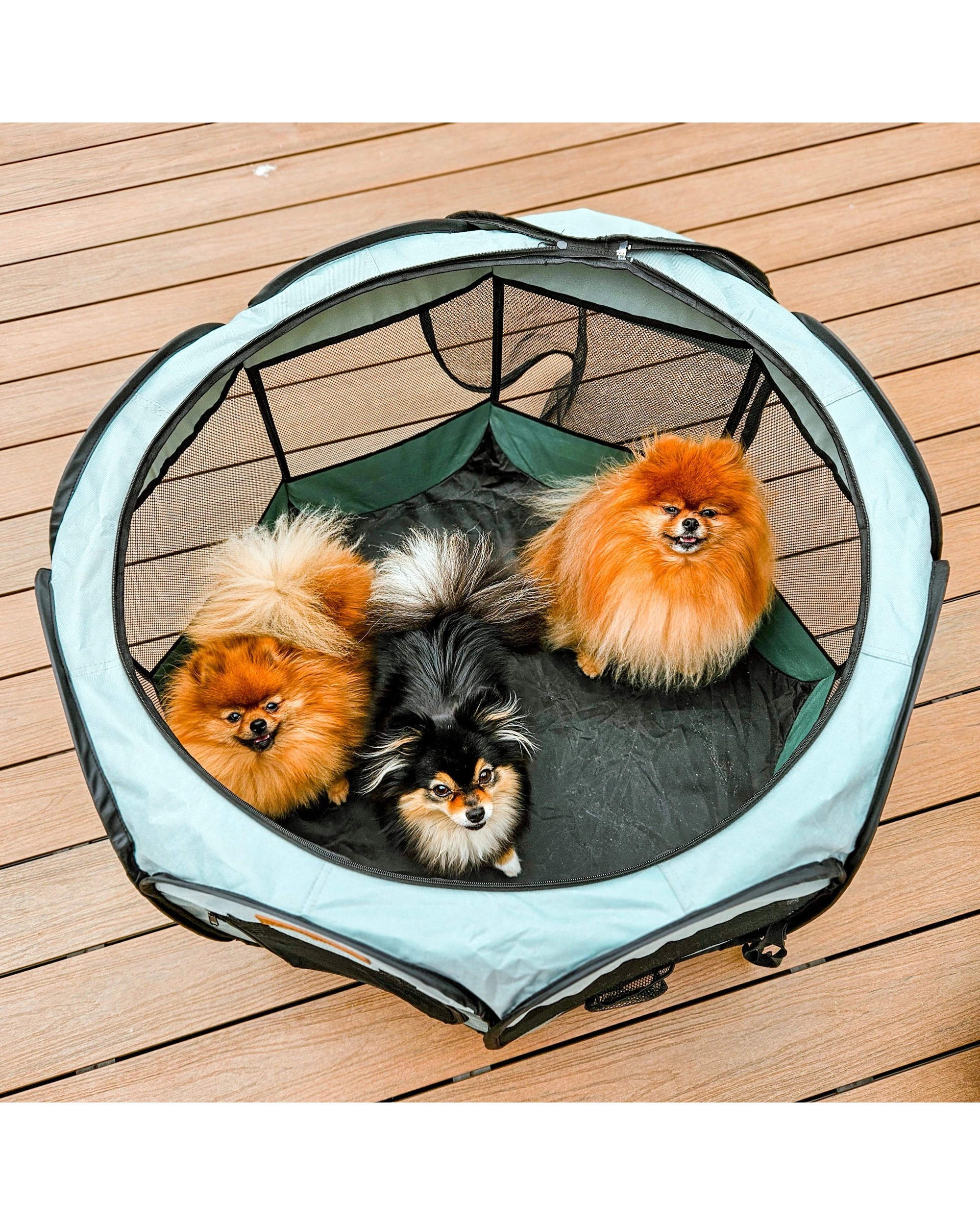 4 Charlie's Adventure Pet Playpen Foldable Portable Crate Large - Green, 4 of 9