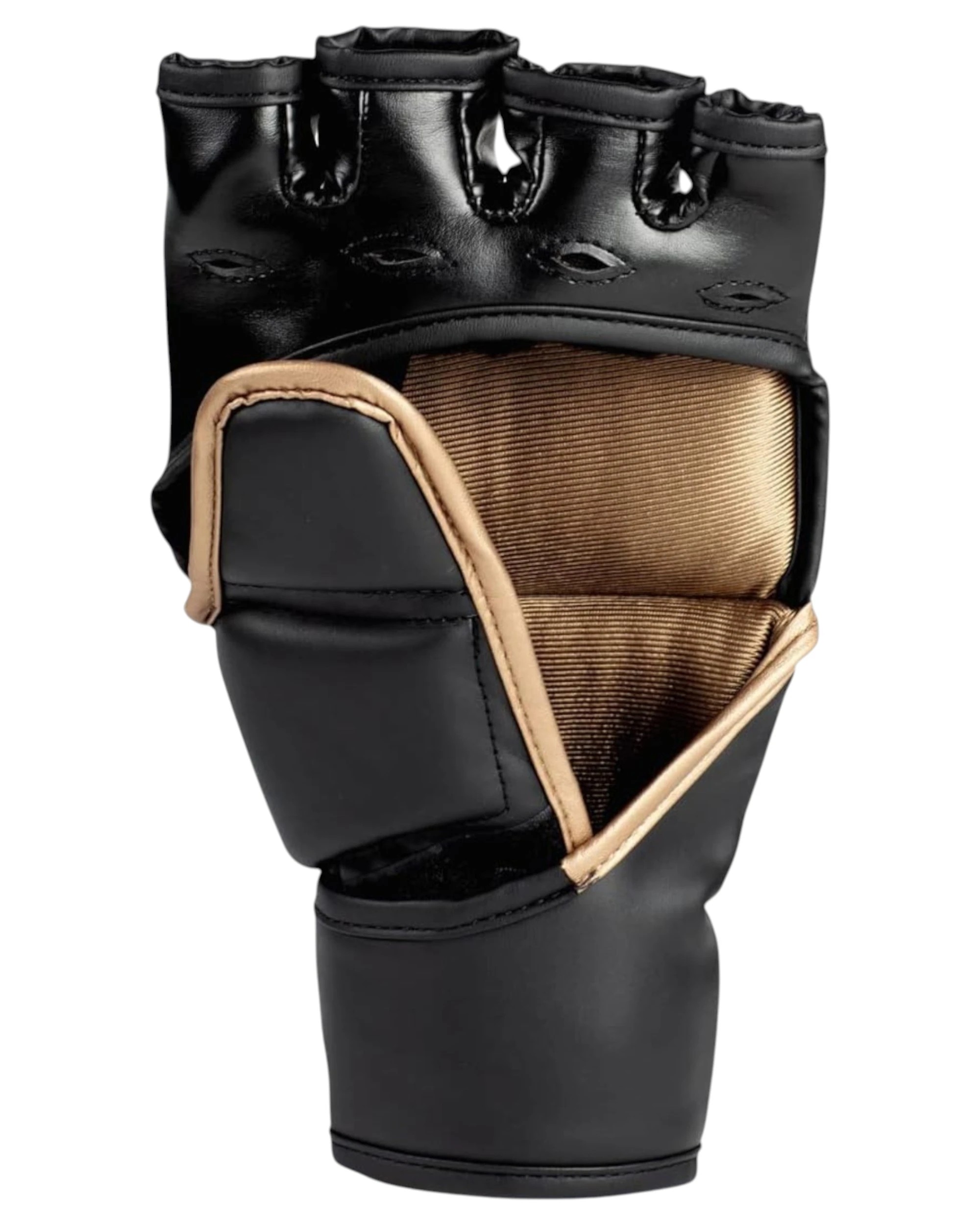 2 Everlast Titan MMA Training Grappling Gloves L/XL - Multi, 2 of 6