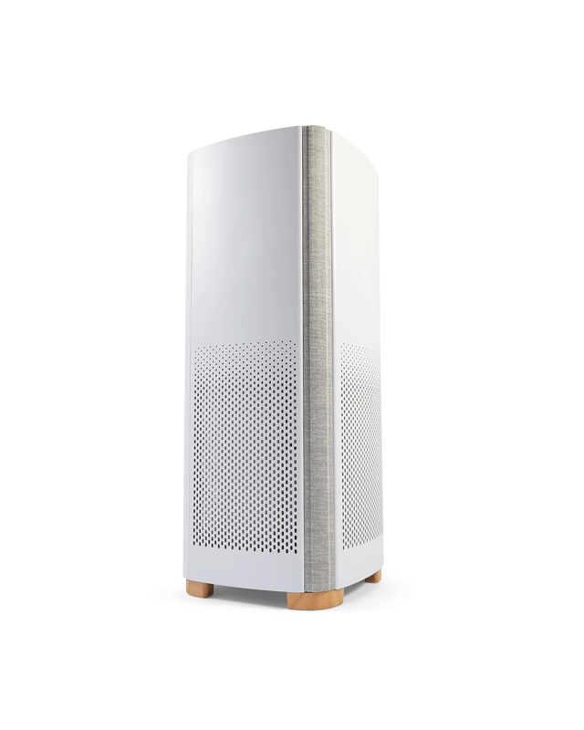 Large Air Purifier - W
