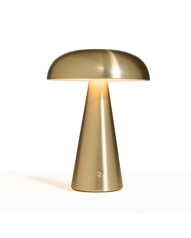 Amiri Portable Rechargeable 