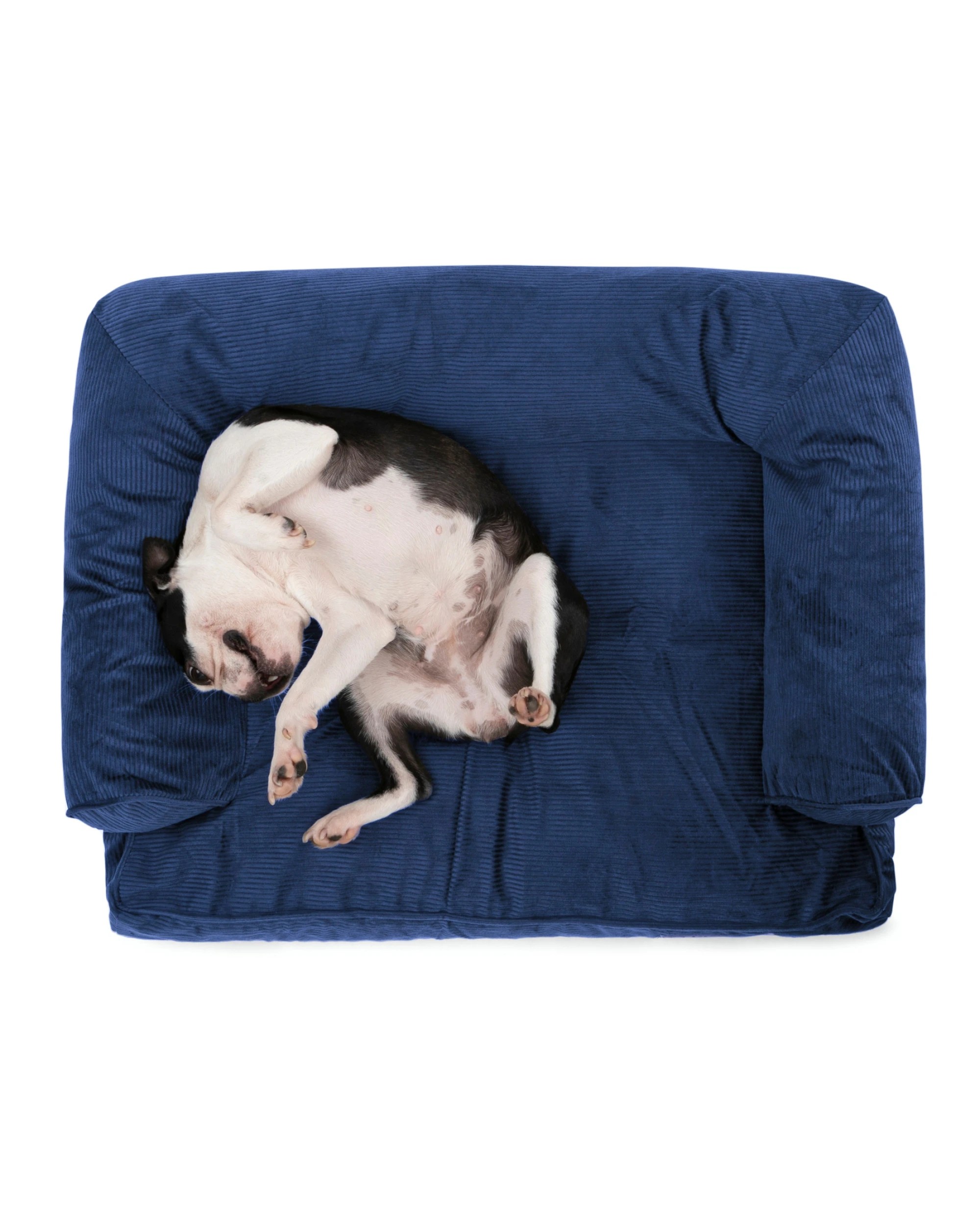 2 Charlie's Corduroy Dog Sofa Bed Medium - Navy, 2 of 7