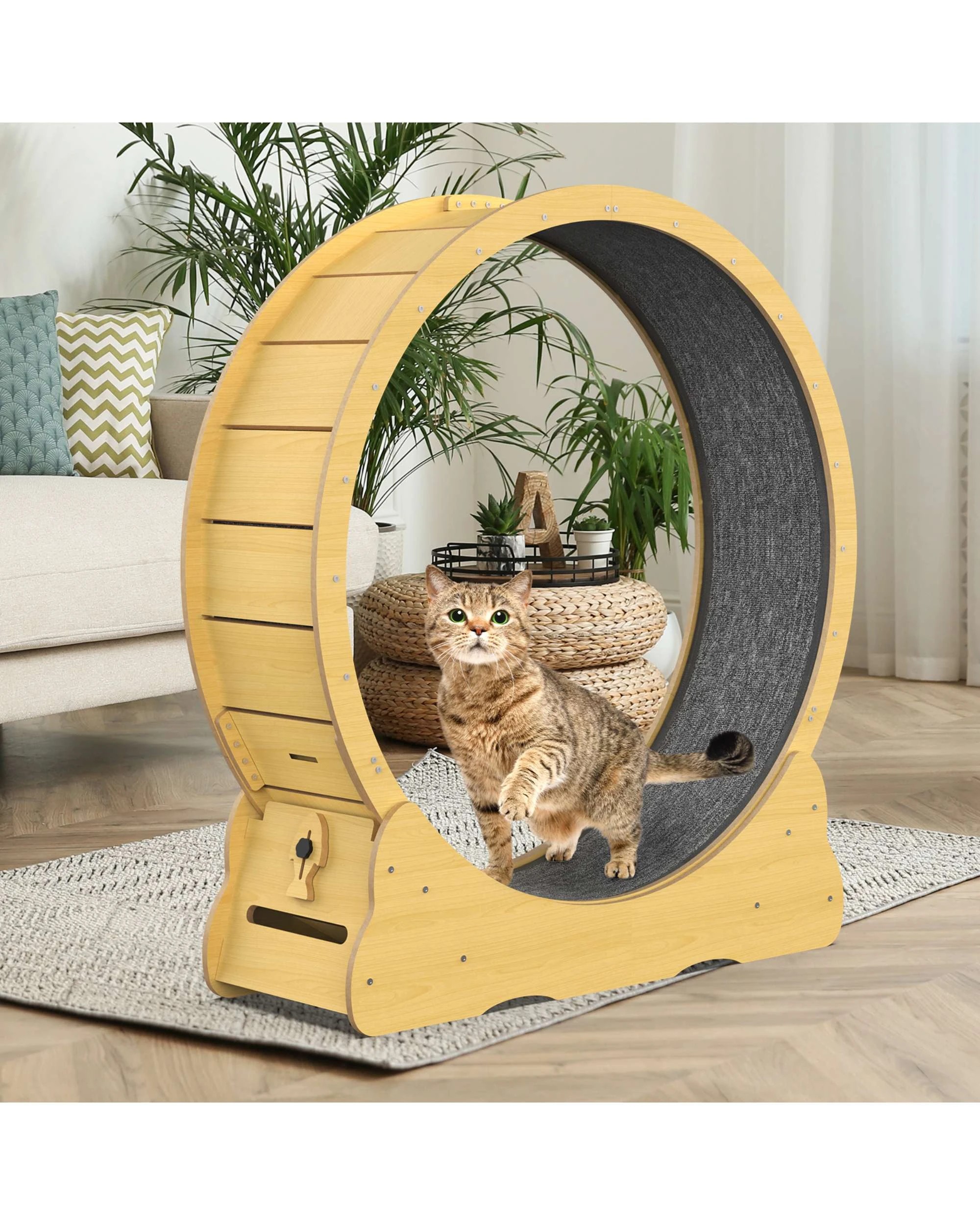 2 Advwin Cat Exercise Wheel Pet Treadmill Scratcher Board, 2 of 7