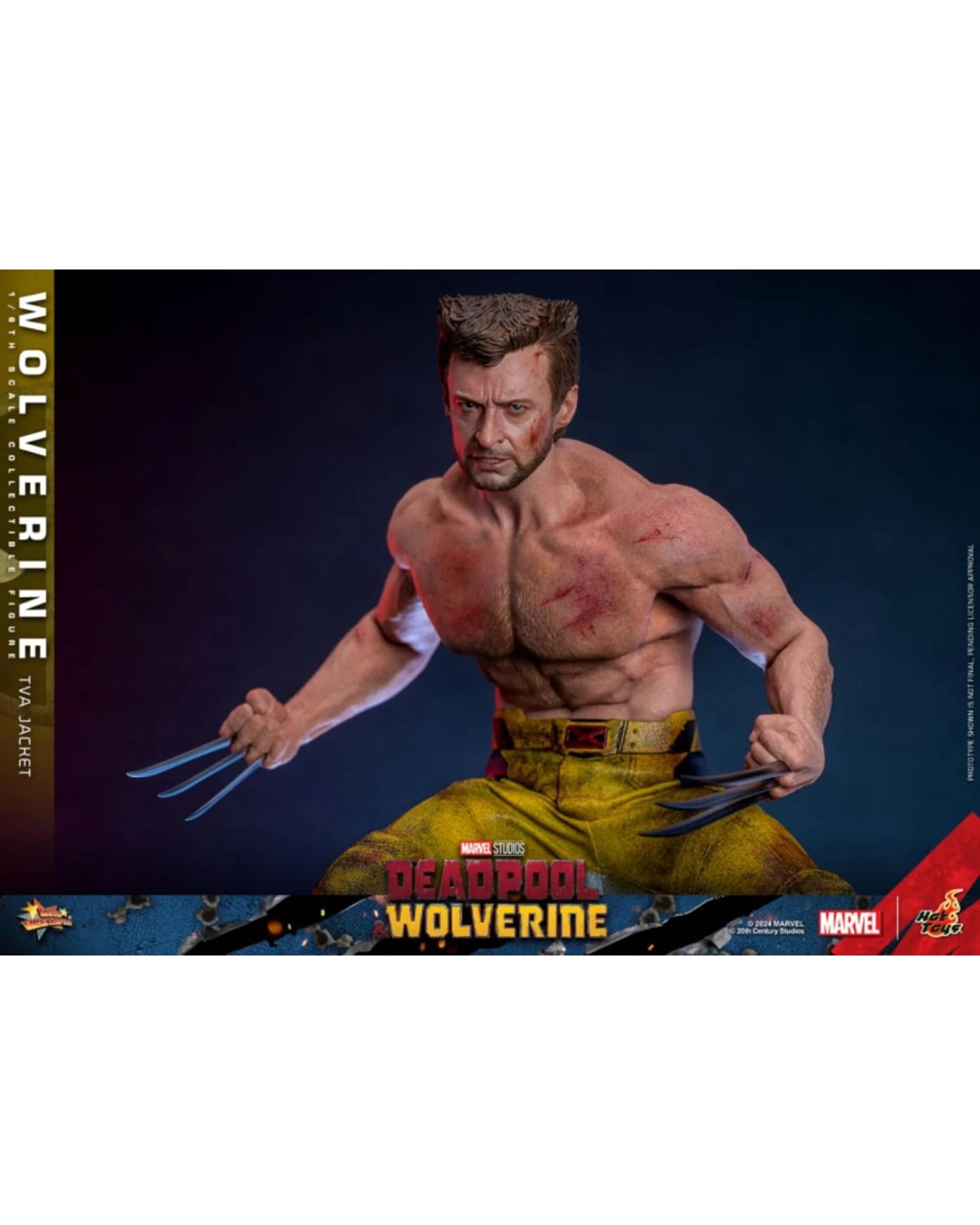 7 Hot Toys Deadpool and Wolverine: Wolverine - TVA Jacket Version -  1:6 Scale Collectible Action Figure, 7 of 8