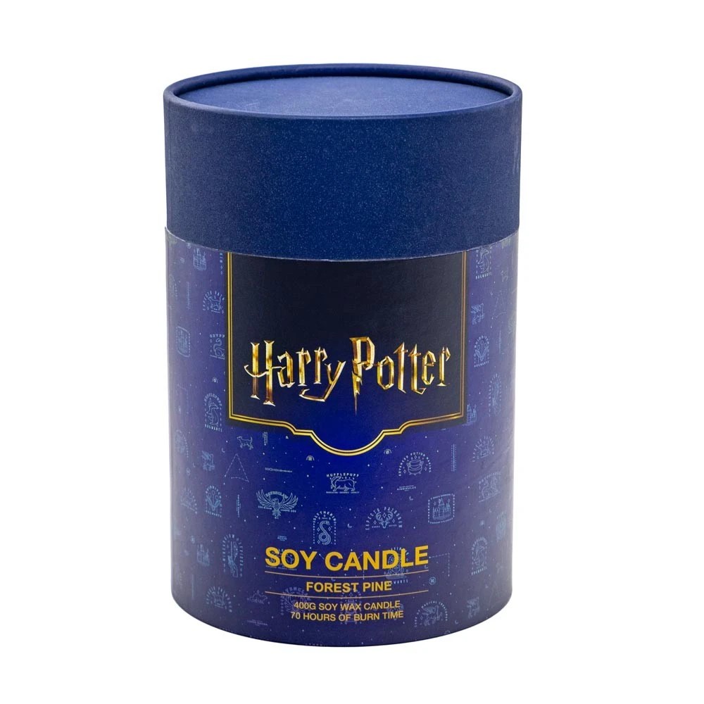 5 Harry Potter - Sorting Hat Candle - Slytherin, 5 of 5