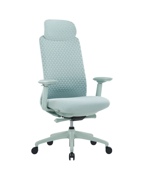 Pago Eris Ergonomic Office Chair Green Ergonomic Chairs and Desk Chairs
