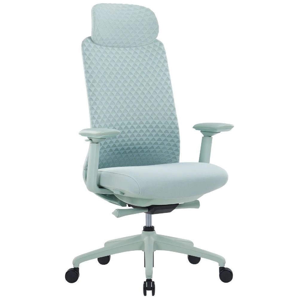 1 Pago Eris Ergonomic Office Chair Green Ergonomic Chairs and Desk Chairs, 1 of 6