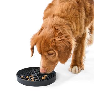 Pet Silicone Feeding Plate - Black