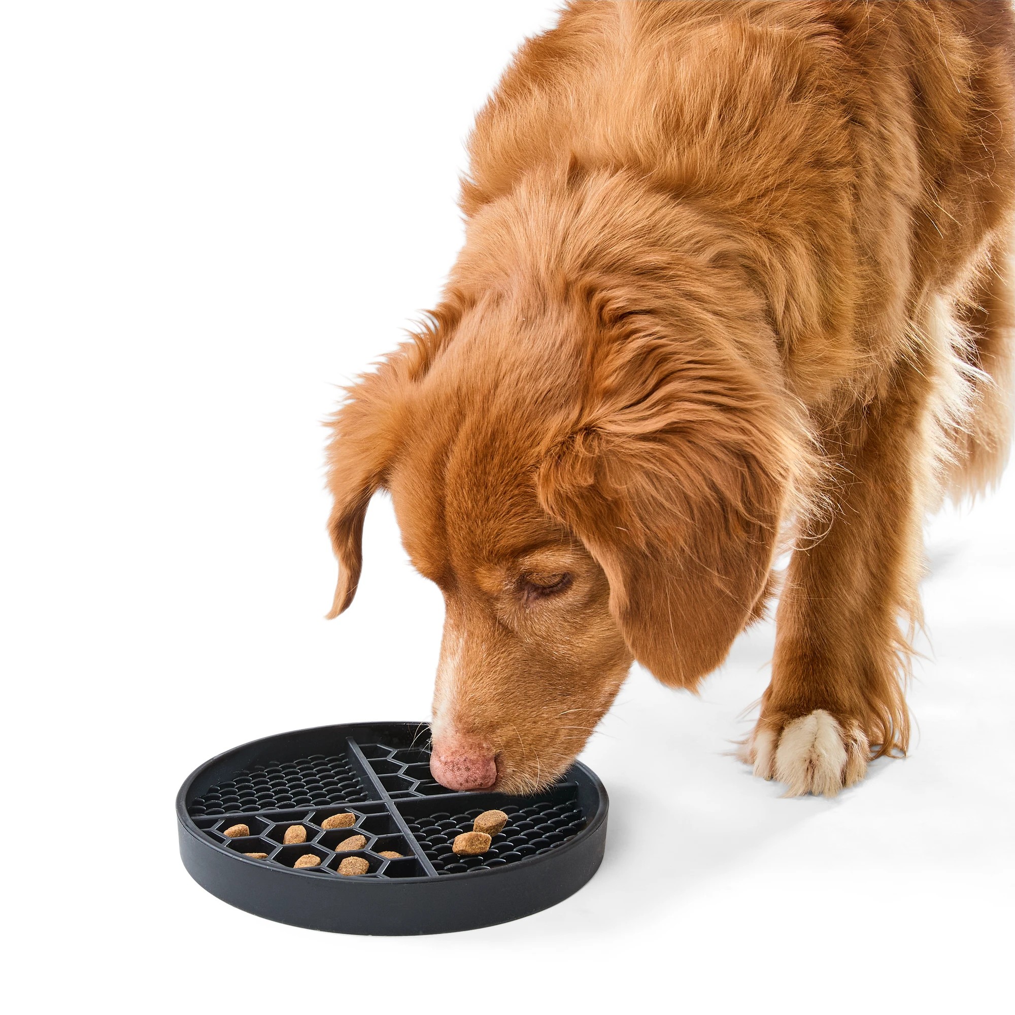 1 Pet Silicone Feeding Plate - Black, 1 of 6