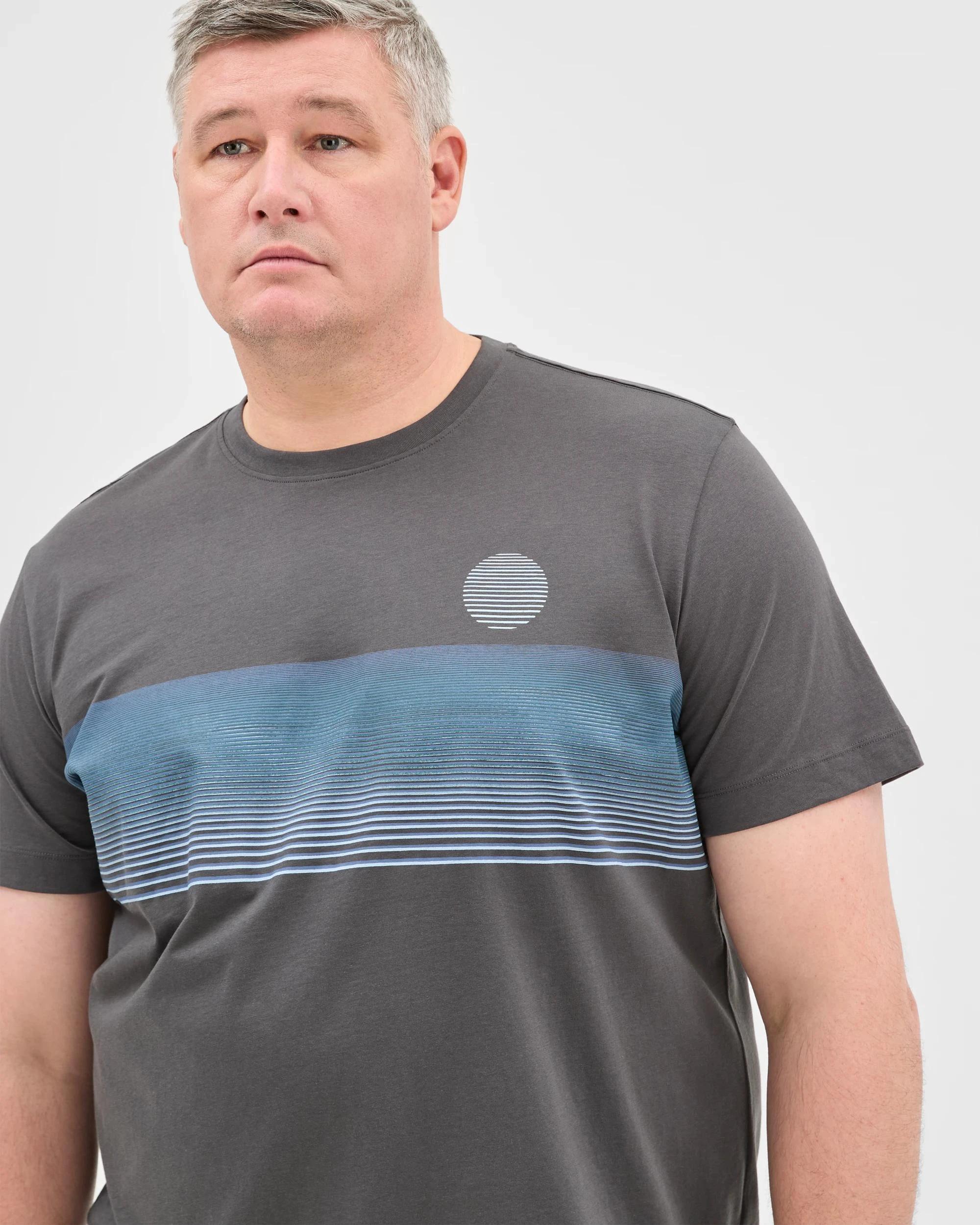 3 Target Plus Size Australian Cotton Fashion T-Shirt ASPHALT, 3 of 5