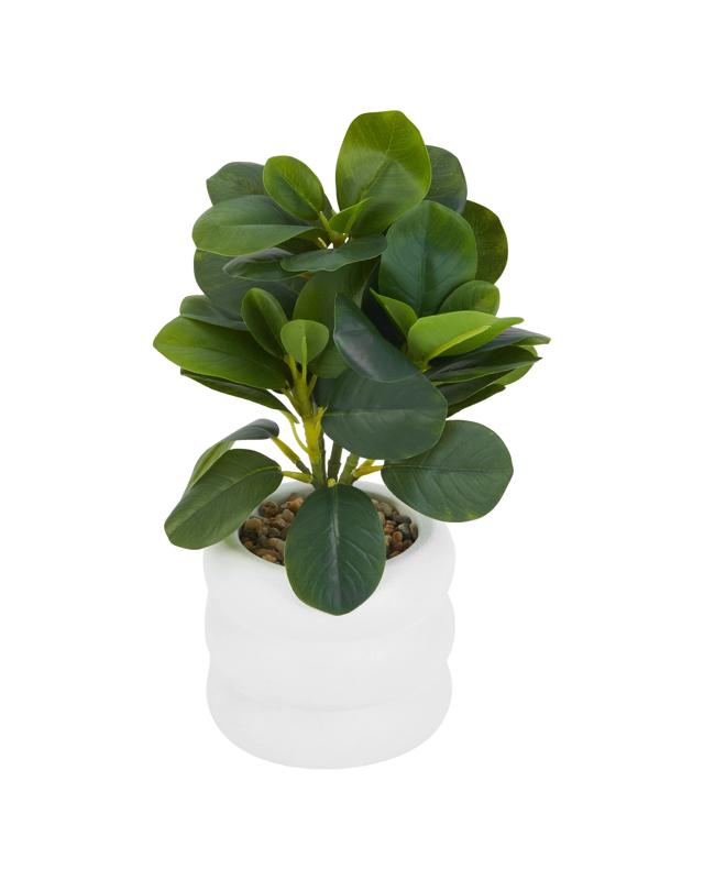 Artificial Peperomia Plant in