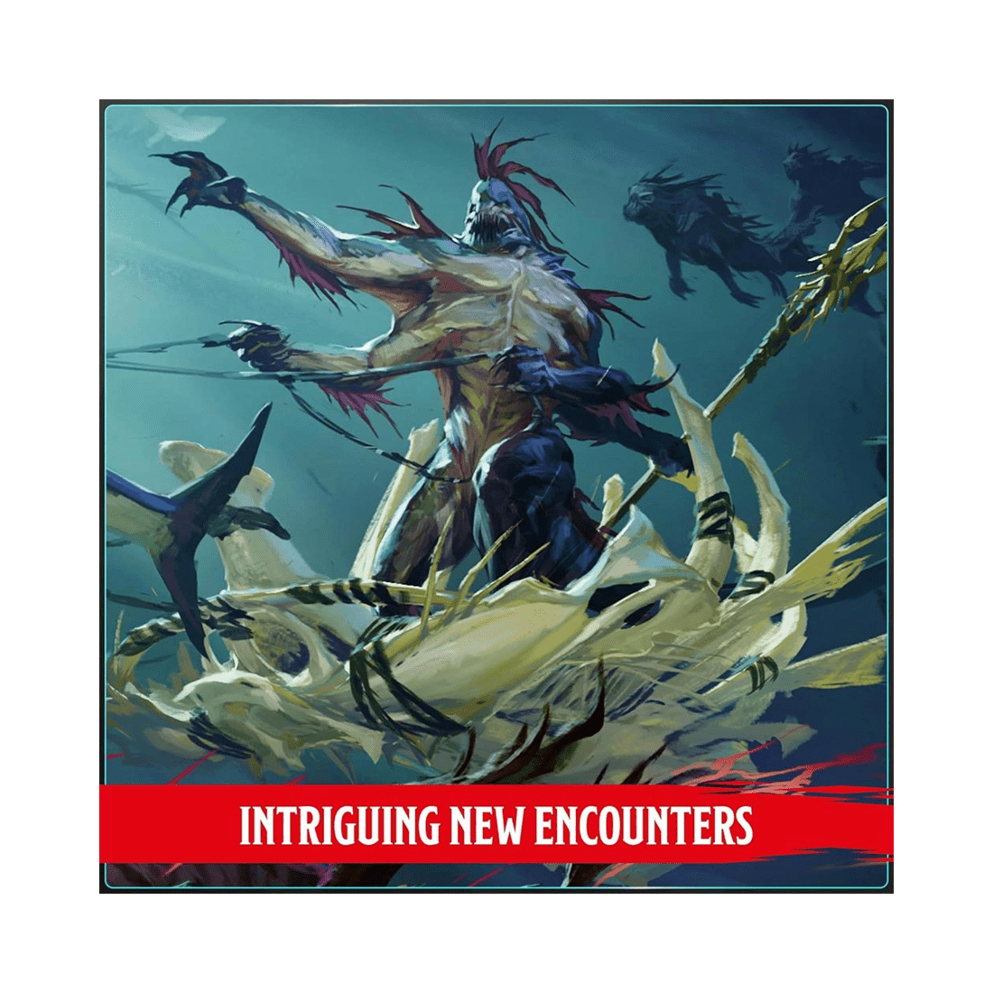 3 Wizards of the Coast Dungeons and Dragons: Monster Manual 2024, 3 of 5