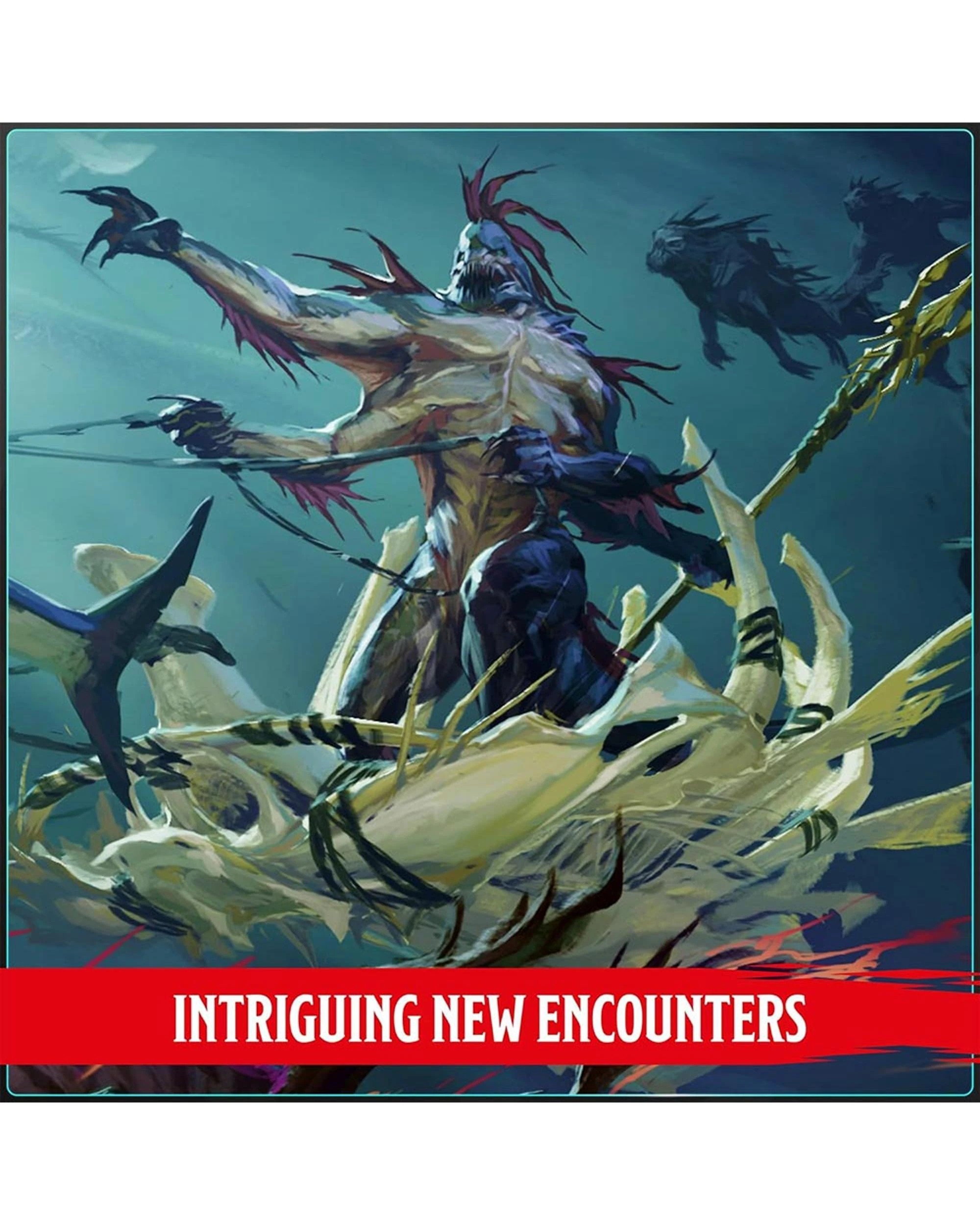 3 Dungeons and Dragons: Monster Manual 2024, 3 of 5