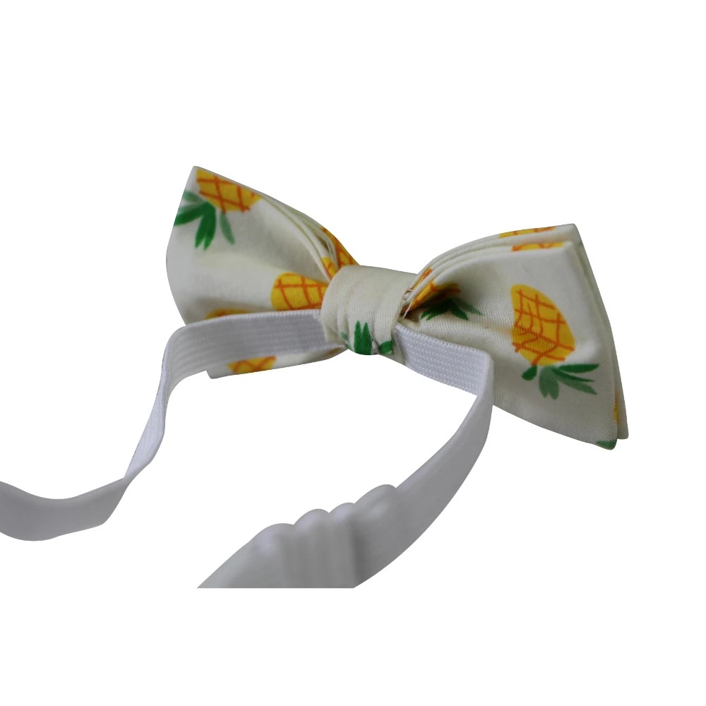 2 Zasel Boys Pineapple Fruit Patterned Bow Tie - Multi, 2 of 3