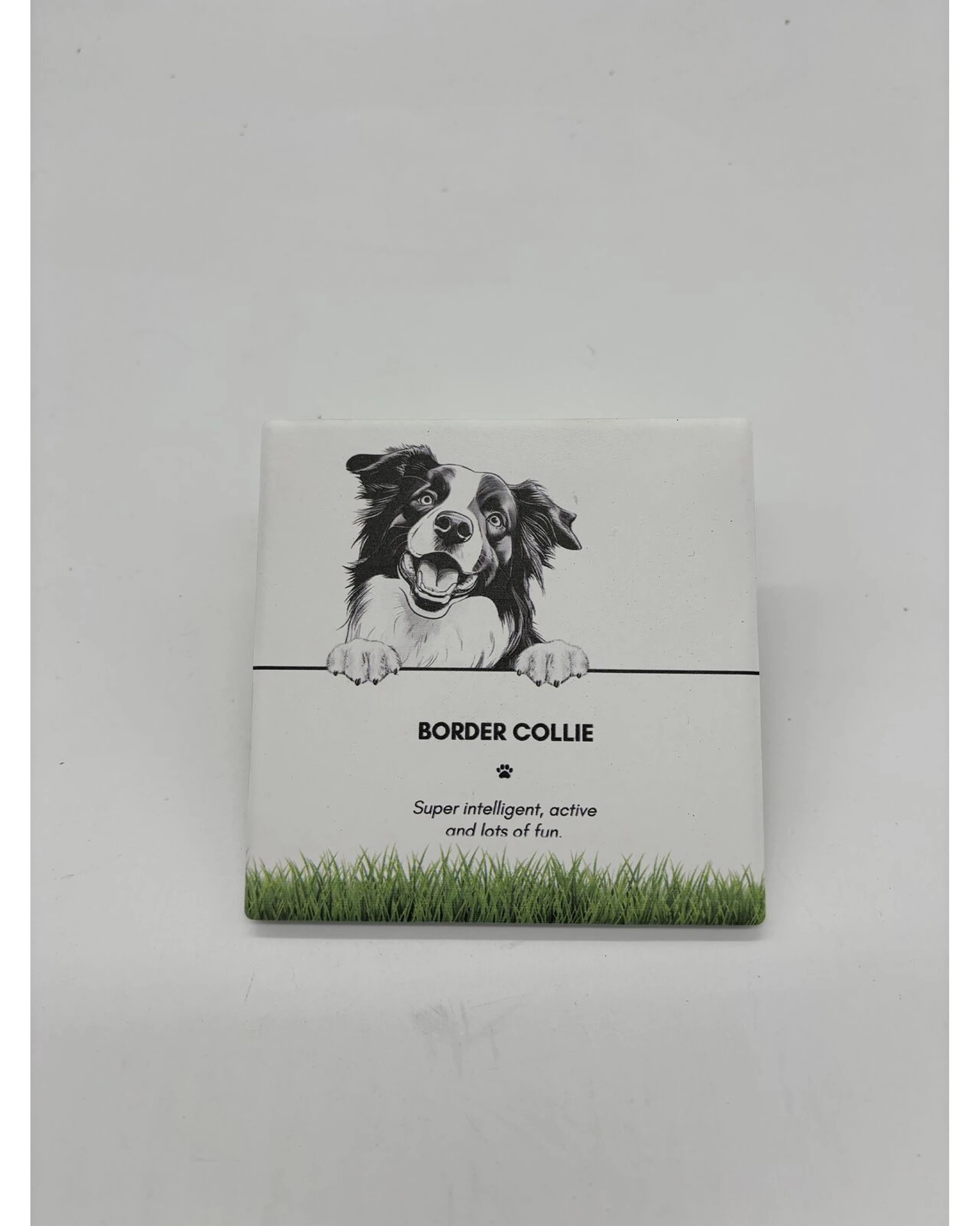 2 Bramble Bay 6PK Pet Kitchen Coaster Border Collie Dog Lover Set - Multi, 2 of 2