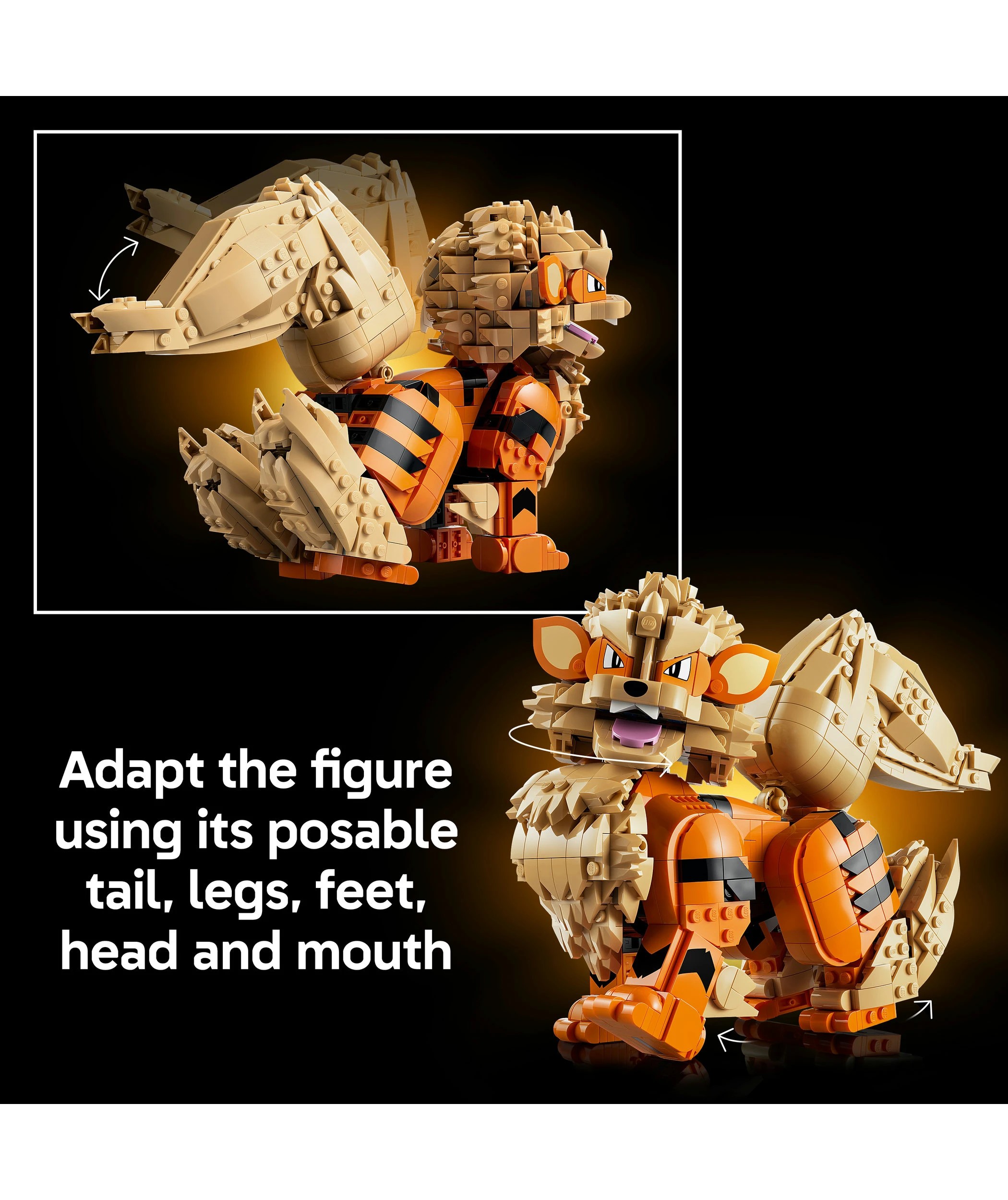6 LEGO Pokemon Arcanine 72160, 6 of 10