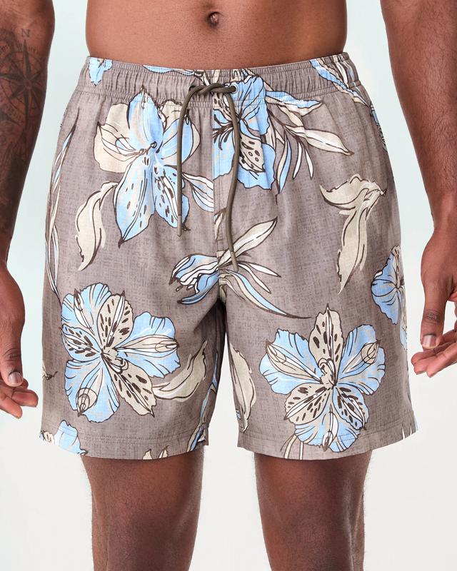 Regular Print Boardsh