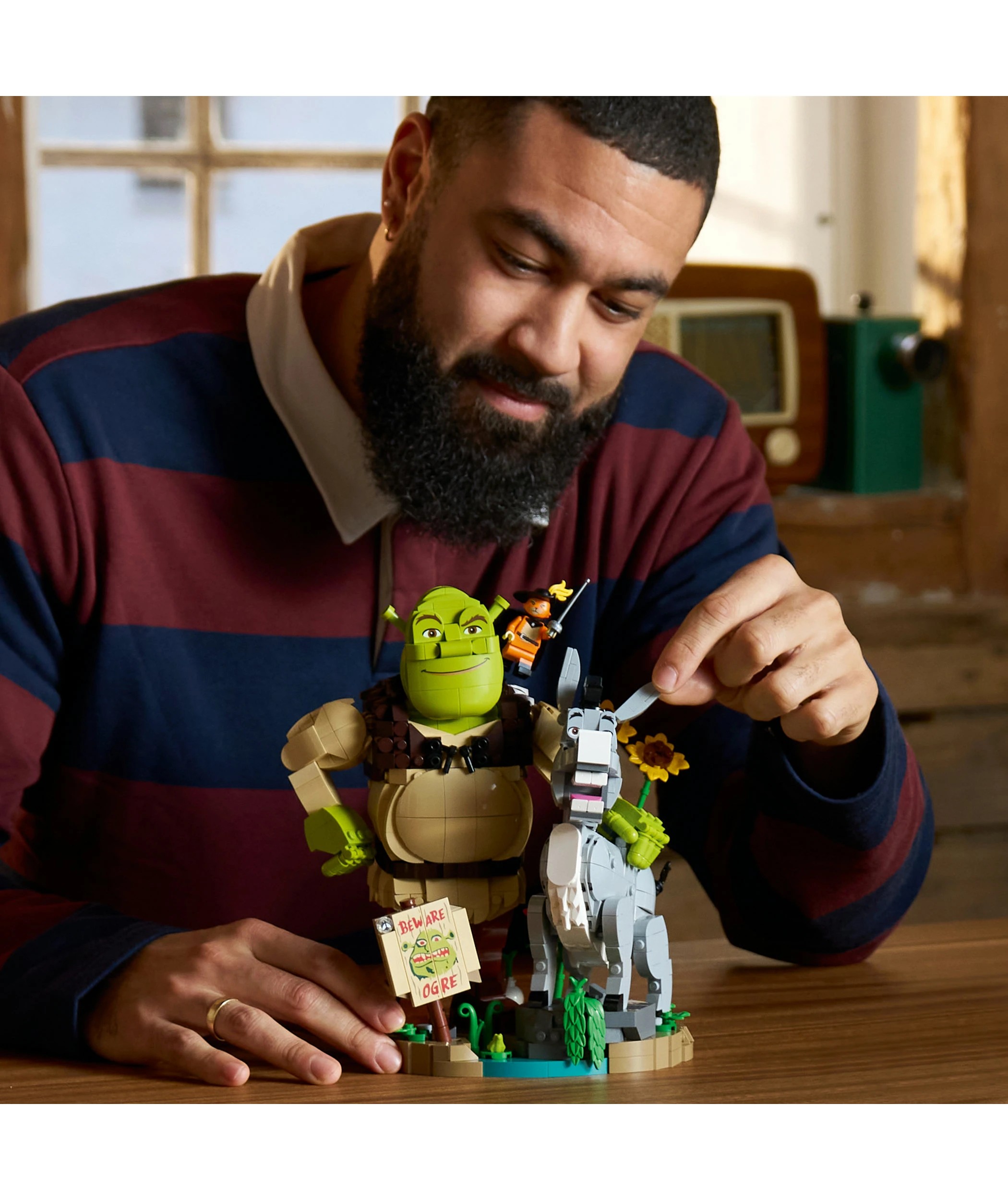 8 LEGO Shrek, Donkey & Puss in Boots 72423, 8 of 10
