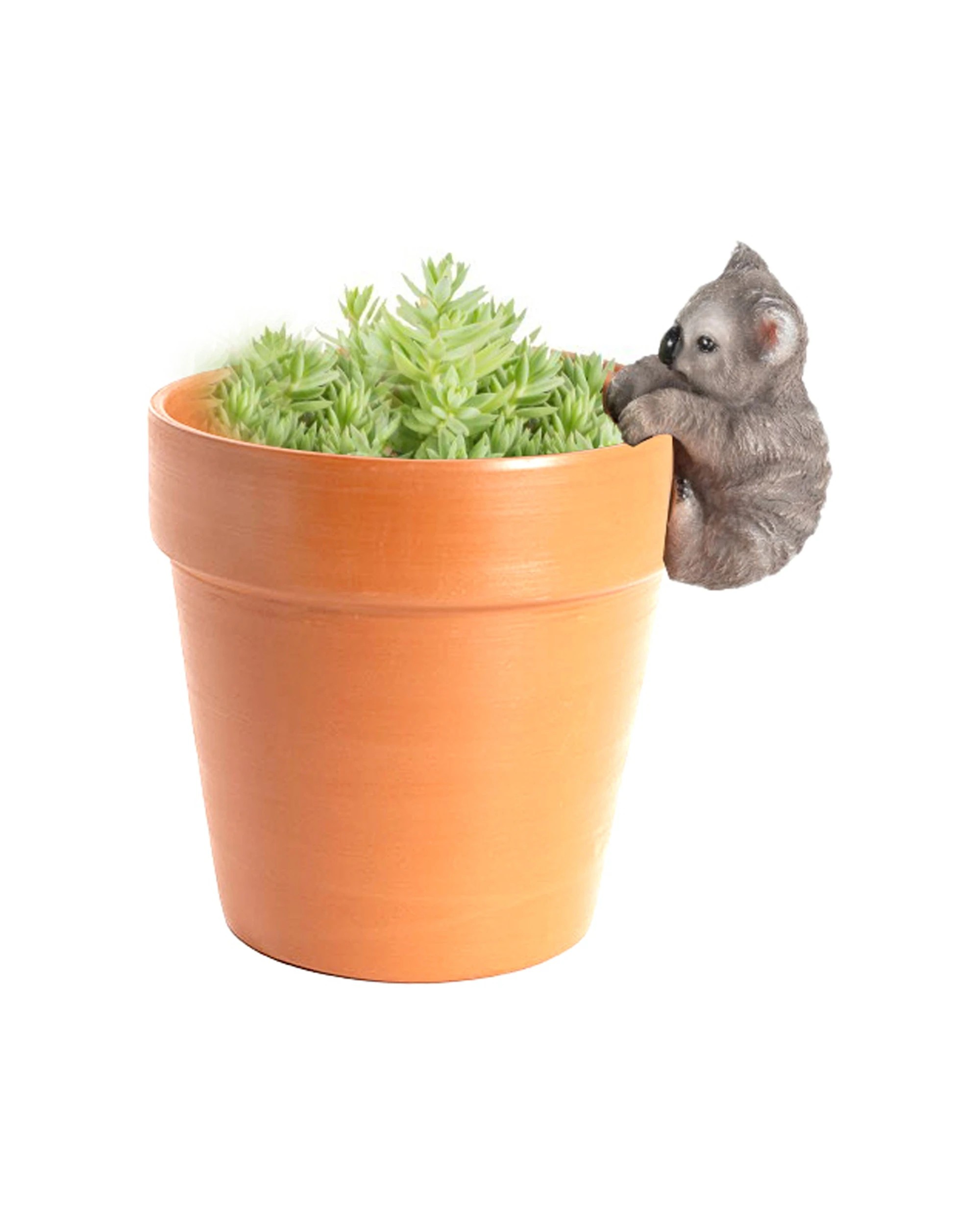 1 Alfresco Aussie Animal Pot Planter Sitter Ornament Decor Design Random Selection - Multi, 1 of 2
