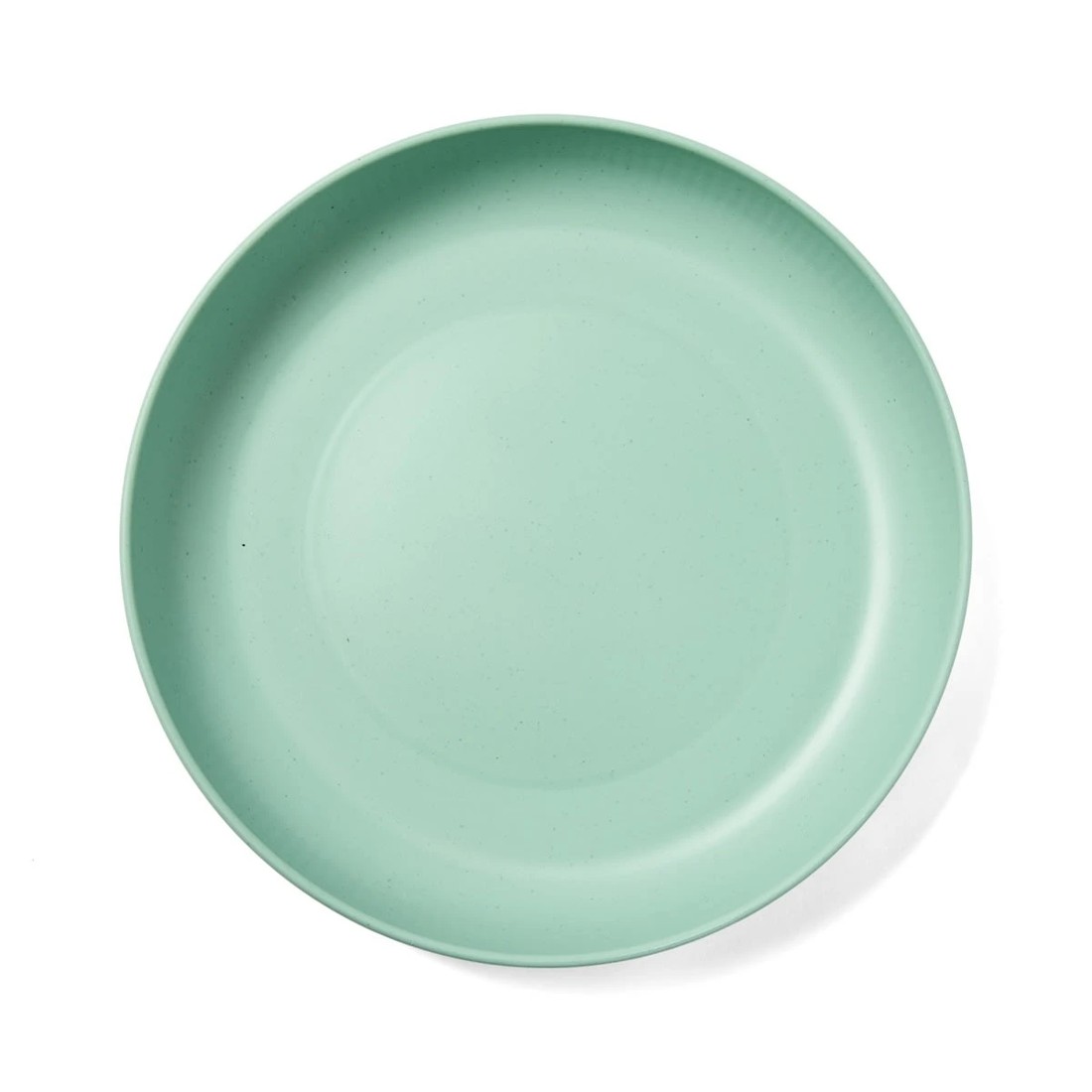 4 Reusable Plate - Assorted, 4 of 10