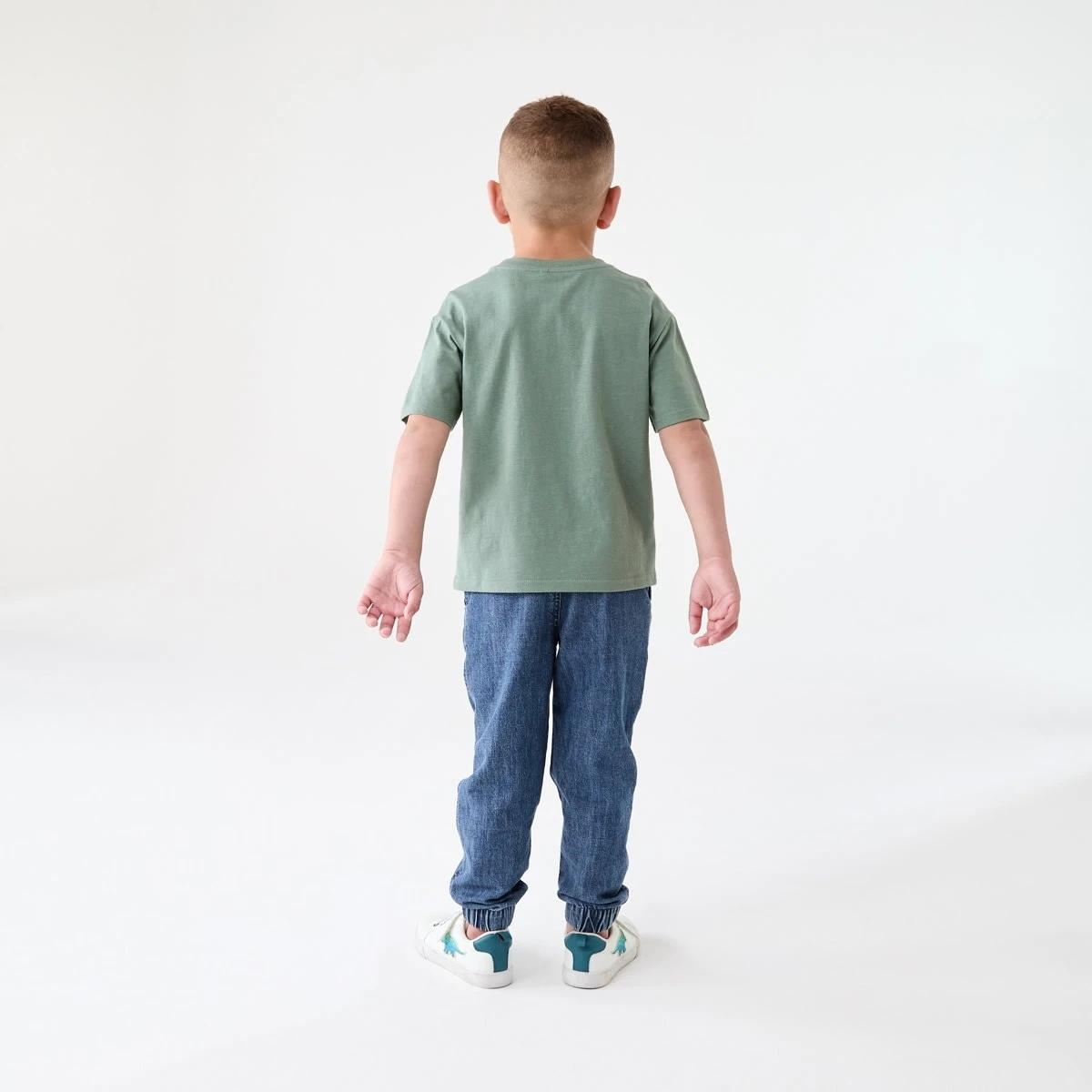 6 Chest Print T-shirt WILD ONES LION CHINOS GREEN, 6 of 6