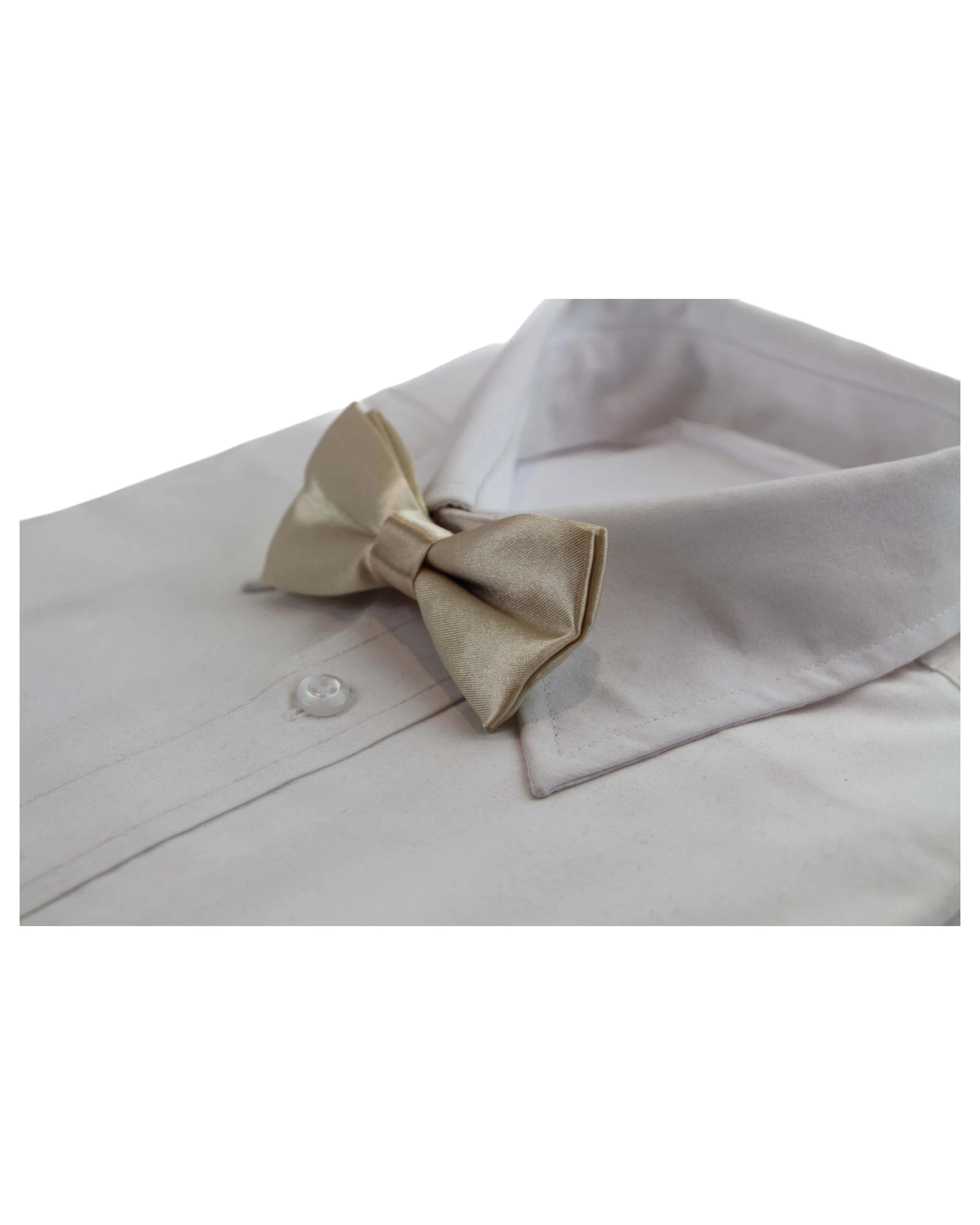1 Zasel Boys Champagne Plain Bow Tie, 1 of 3