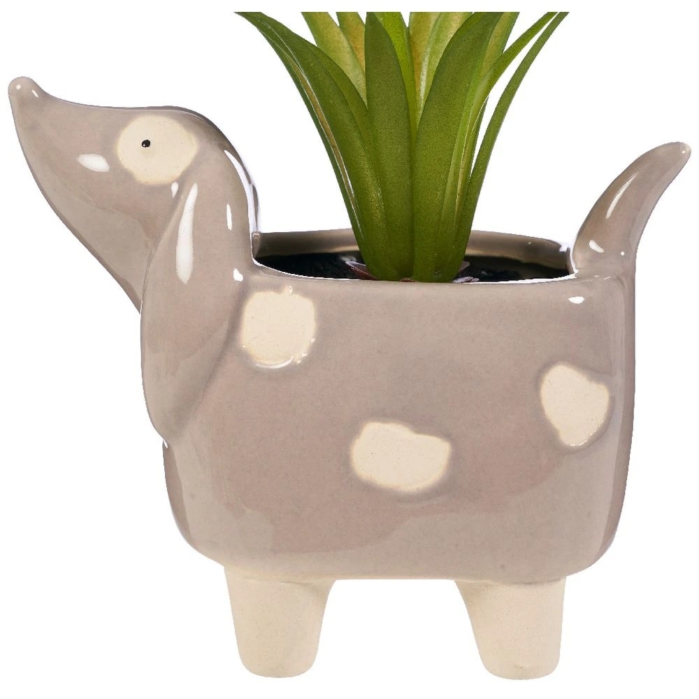3 Otto Succulent Dog Planter, 3 of 3